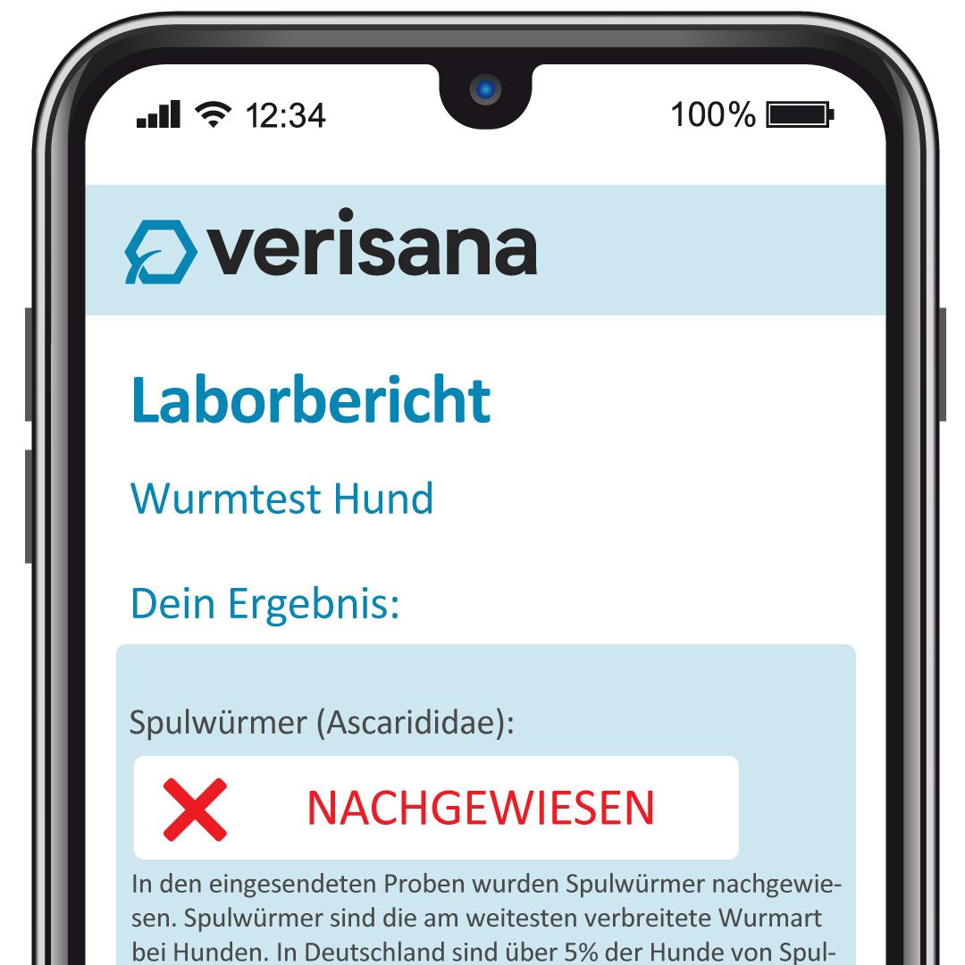 Verisana Wurmtest Hund Pro