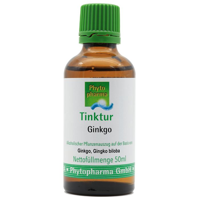 Phytotherapie Urtinktur Ginkgo