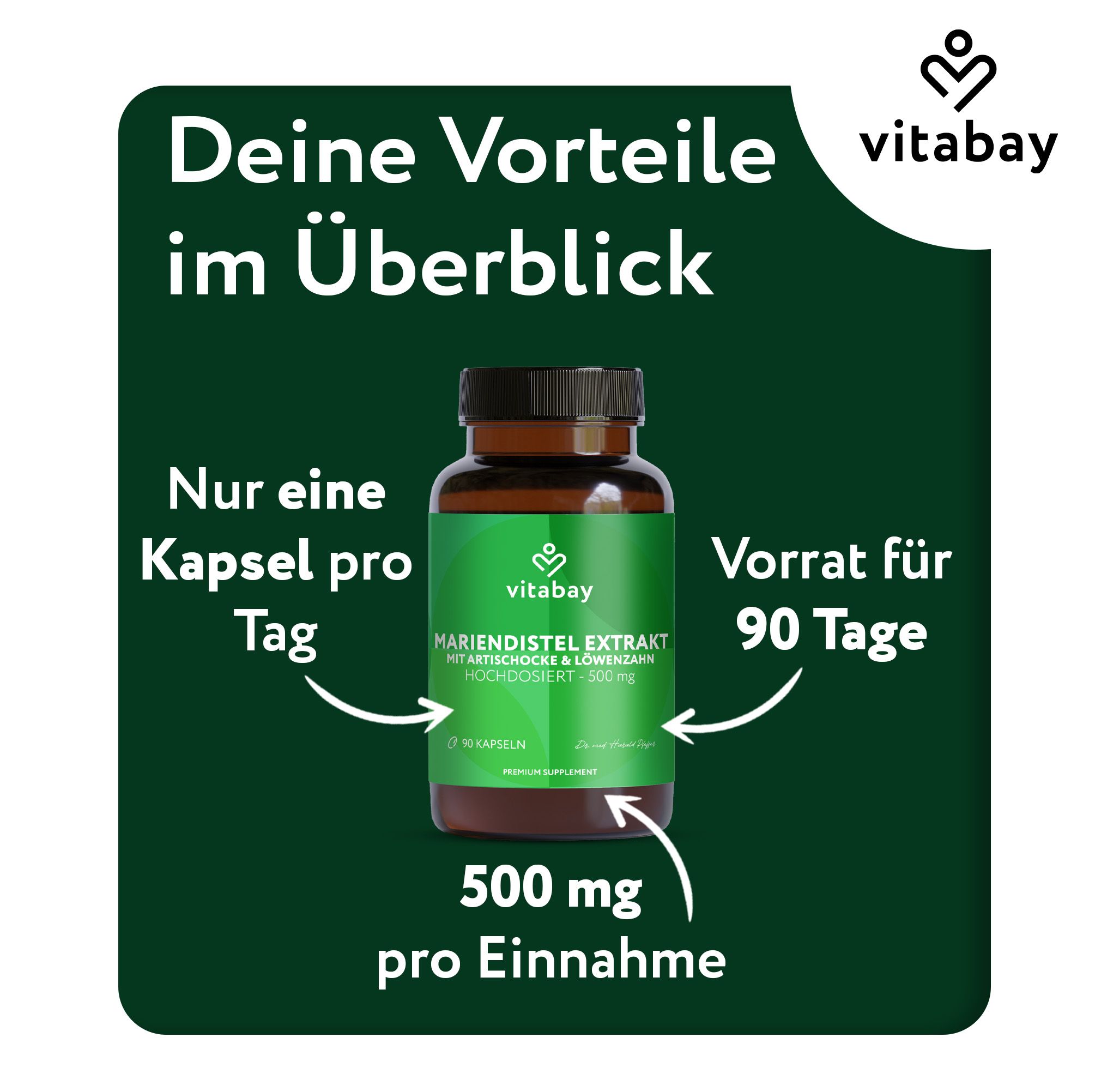Grüne Infografik mit einer Flasche Kapseln. Text: Nur eine Kapsel pro Tag. Vorrat für 90 Tage. 500 mg pro Einnahme.