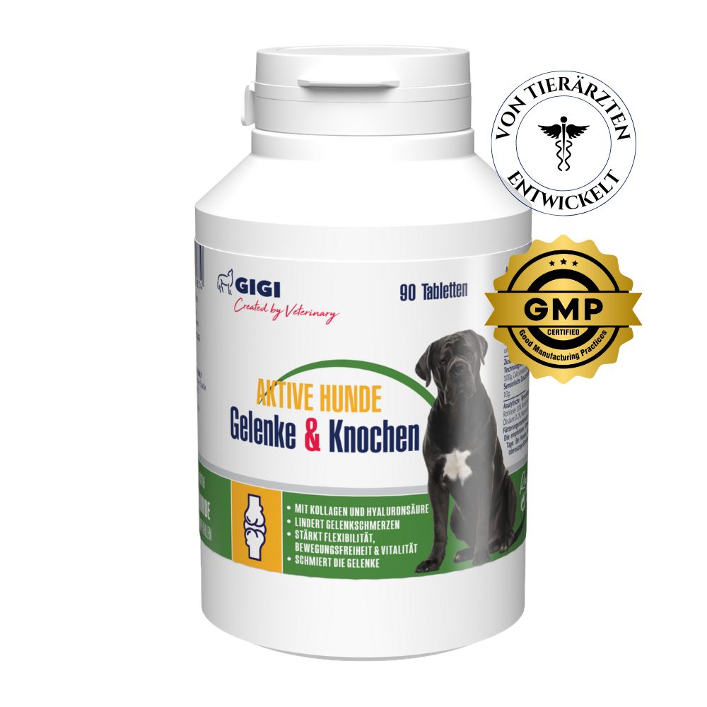 Weiße Flasche mit Tabletten für Hunde. Aufschrift: Aktive Hunde Gelenke & Knochen. Siegel: Von Tierärzten entwickelt, GMP Certified.