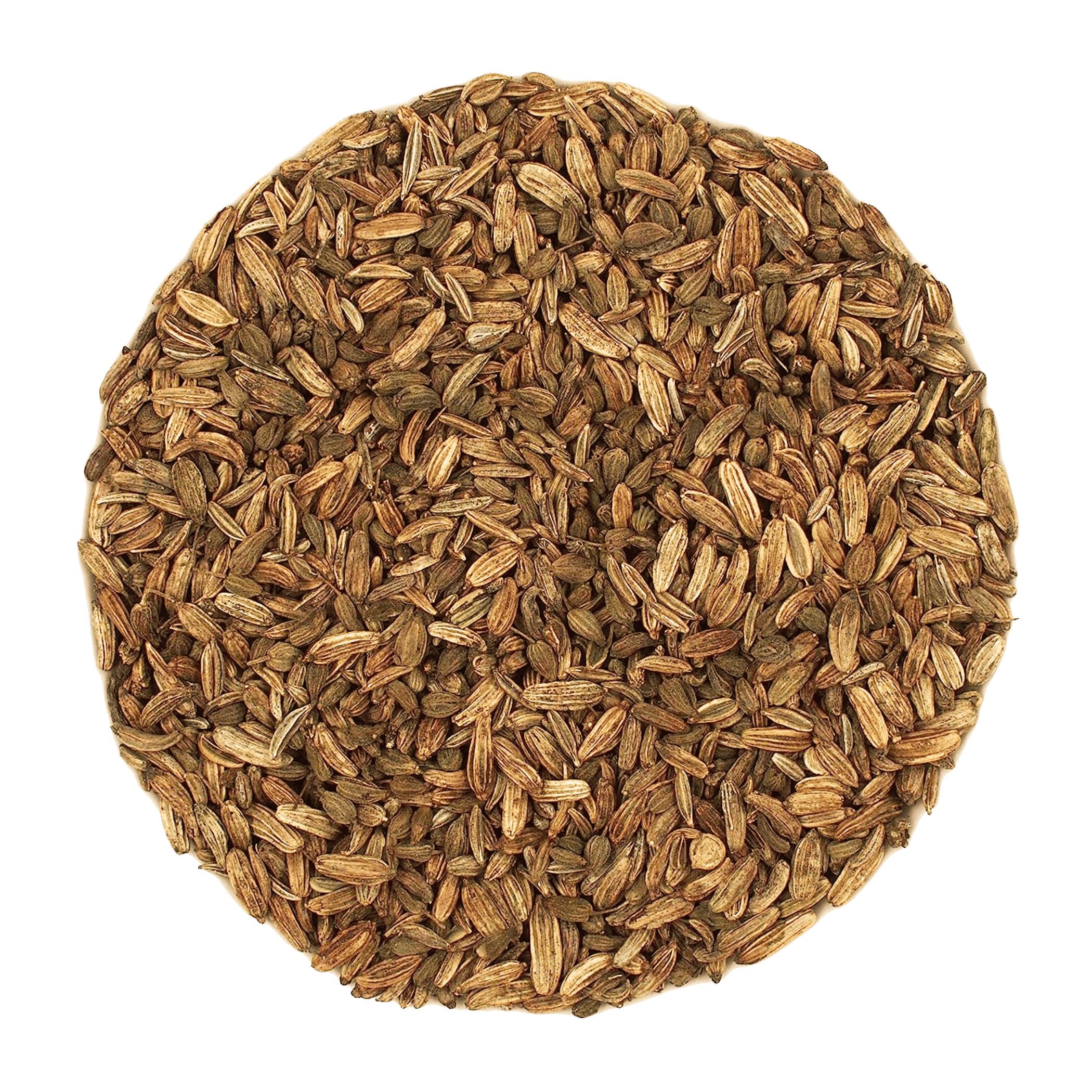 Kreisförmige Anordnung von braunen Samen. Einzelne Samen sind länglich und leicht gebogen. Hintergrund weiß.