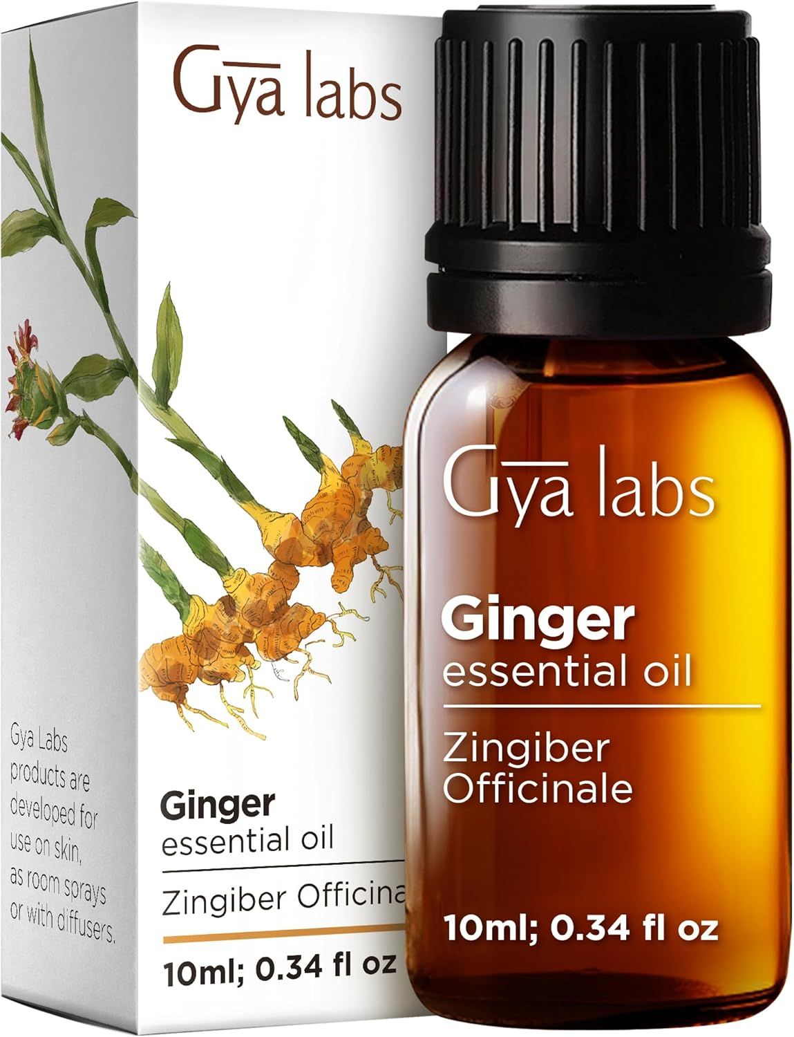 Gya Labs Ingweröl-Flasche und Verpackung. Text: Ginger essential oil, 10ml; 0.34 fl oz.