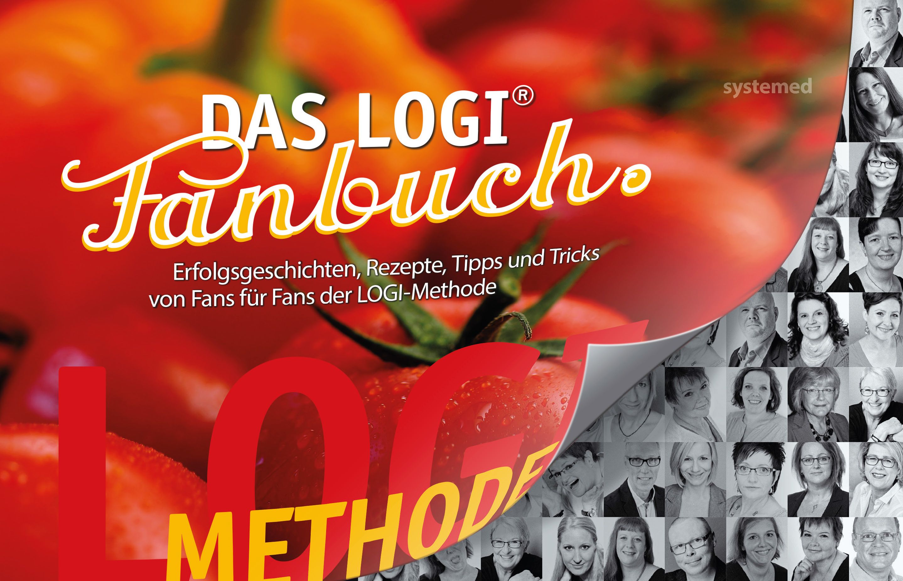 Das große LOGI-Fanbuch