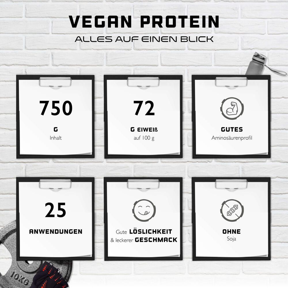 Infografik: Vegan Protein. 6 Tafeln mit Inhalten: 750g, 72g Eiweiß, Aminosäurenprofil, 25 Anwendungen, gute Löslichkeit, ohne Soja.