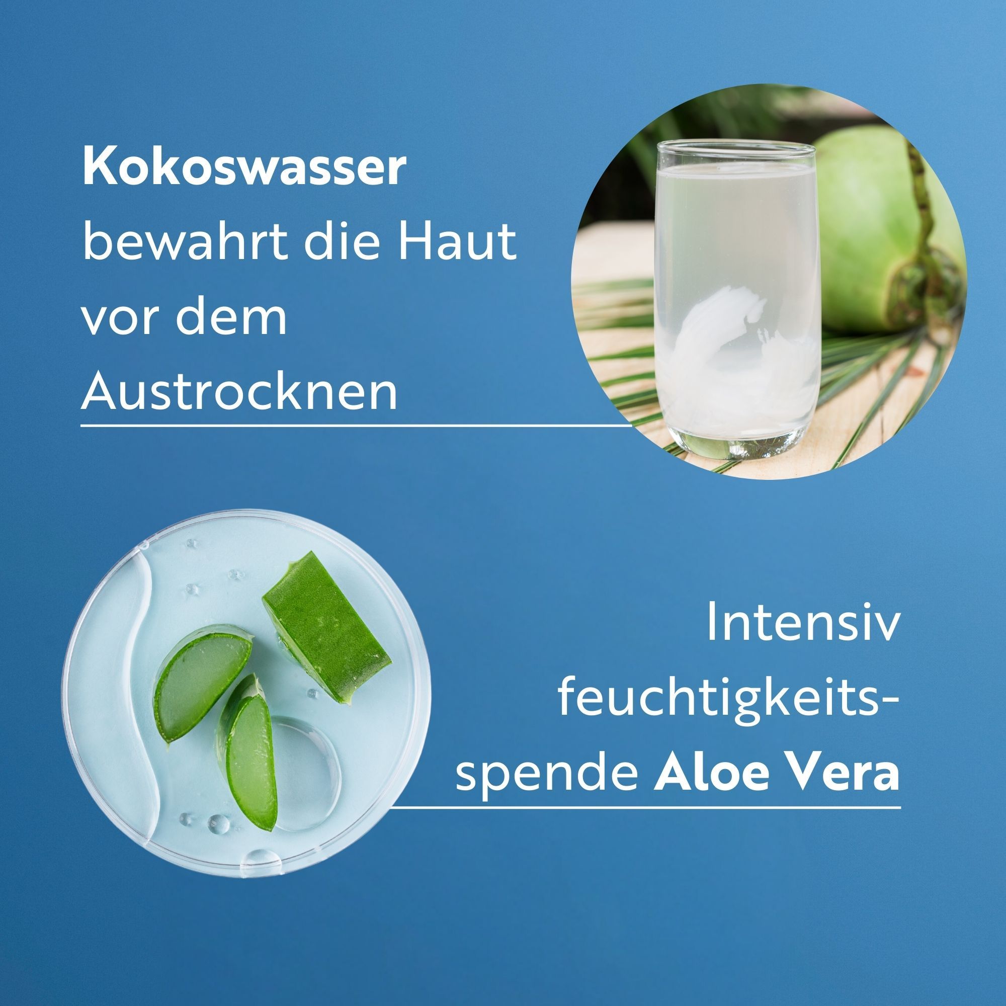 Glas mit Kokoswasser und Kokosnuss. Aloe Vera-Blätter in Schale. Text: Kokoswasser schützt vor Austrocknung, Aloe Vera.