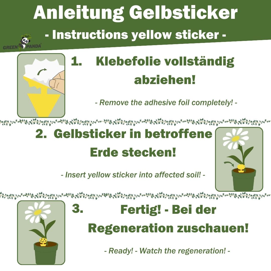 Anleitung Gelbsticker. 3 Schritte: Folie abziehen, in Erde stecken, fertig. Grafik: Gelbsticker in Topf.