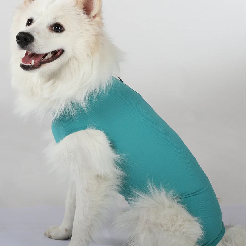 VetMedCare Dog Body Hündin