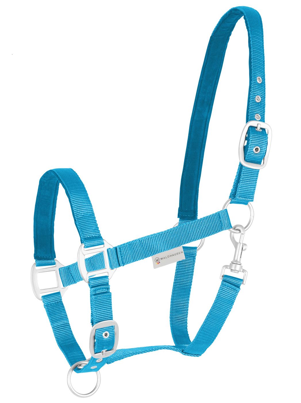 Türkisfarbenes Nylonhalfter mit silberfarbenen Schnallen und Logo. Für Pferde.