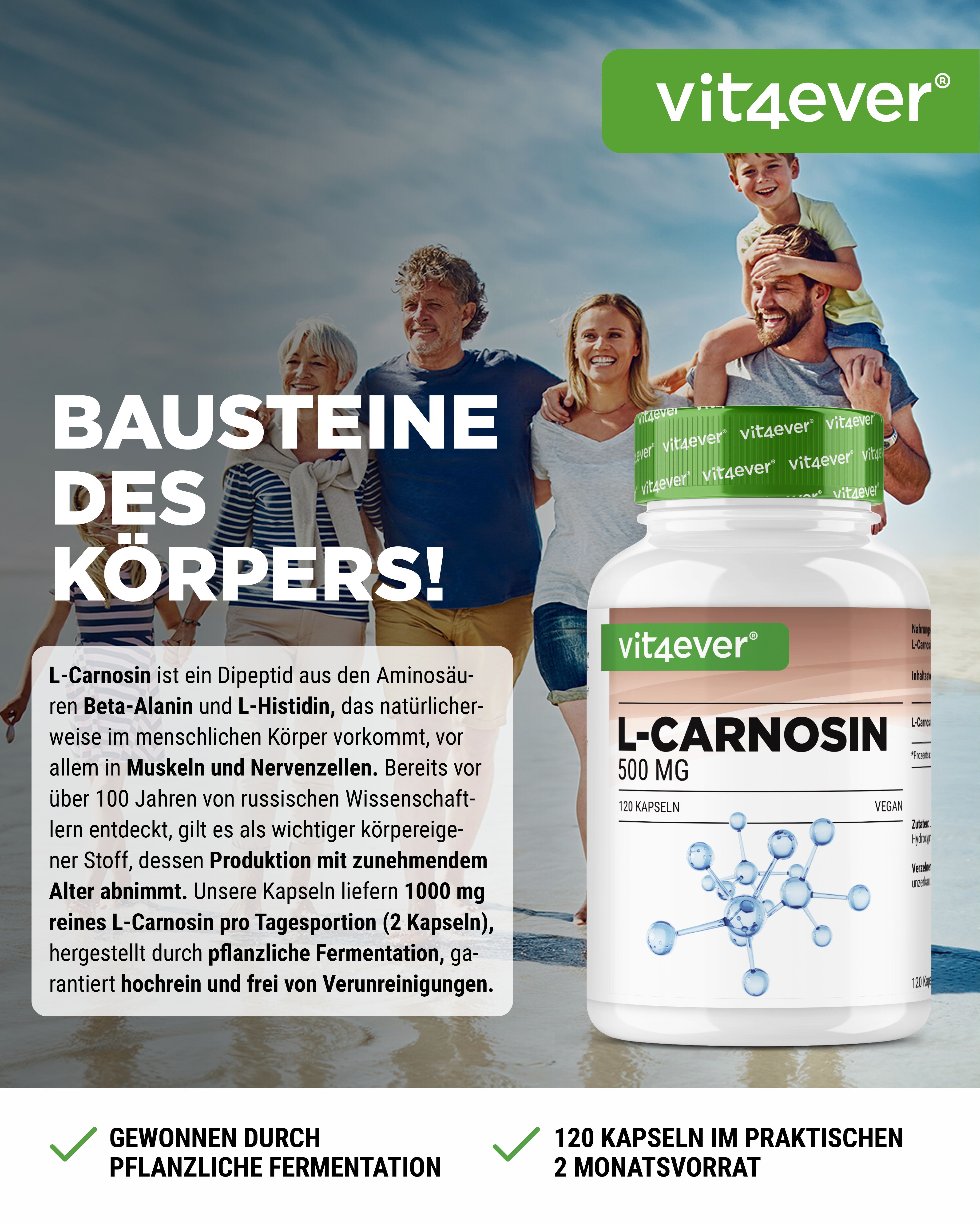 Weißes Pillenbehälter mit grünem Deckel, Aufschrift L-Carnosin 500 mg, 120 Kapseln. Text: Bausteine des Körpers. Hintergrund: Strand mit Familie.
