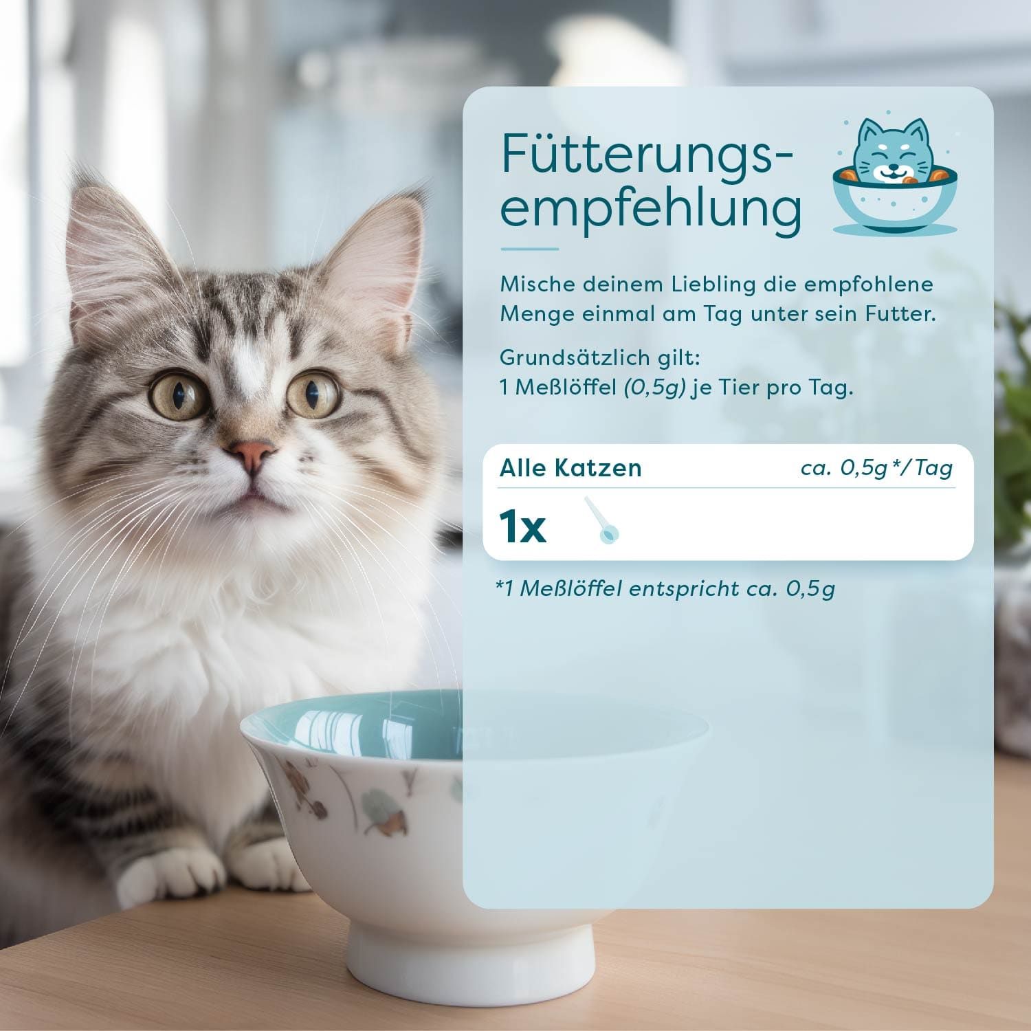 Katze vor einer Schüssel. Infografik mit Fütterungsempfehlung: 0,5g pro Tag. Messlöffel-Symbol.