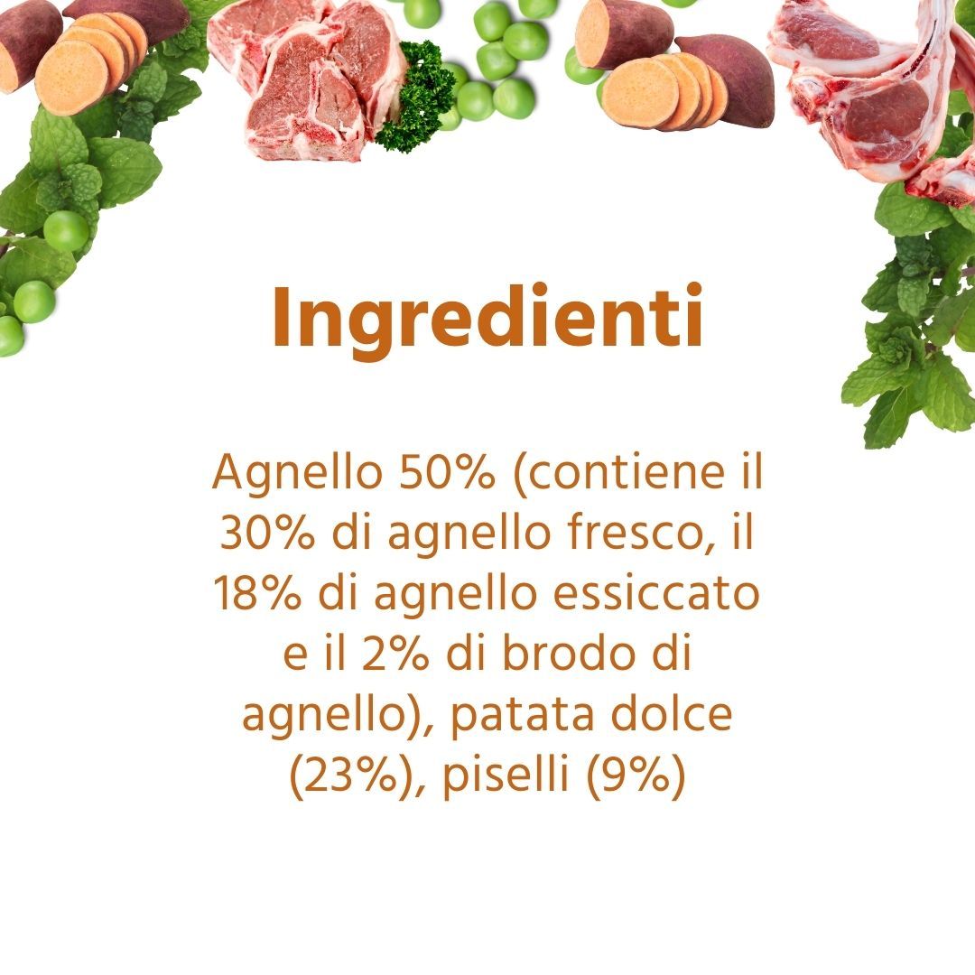 Zutatenliste für Hundefutter. Enthält Lammfleisch, Süßkartoffeln, Erbsen. 50% Lamm, 23% Süßkartoffeln, 9% Erbsen.