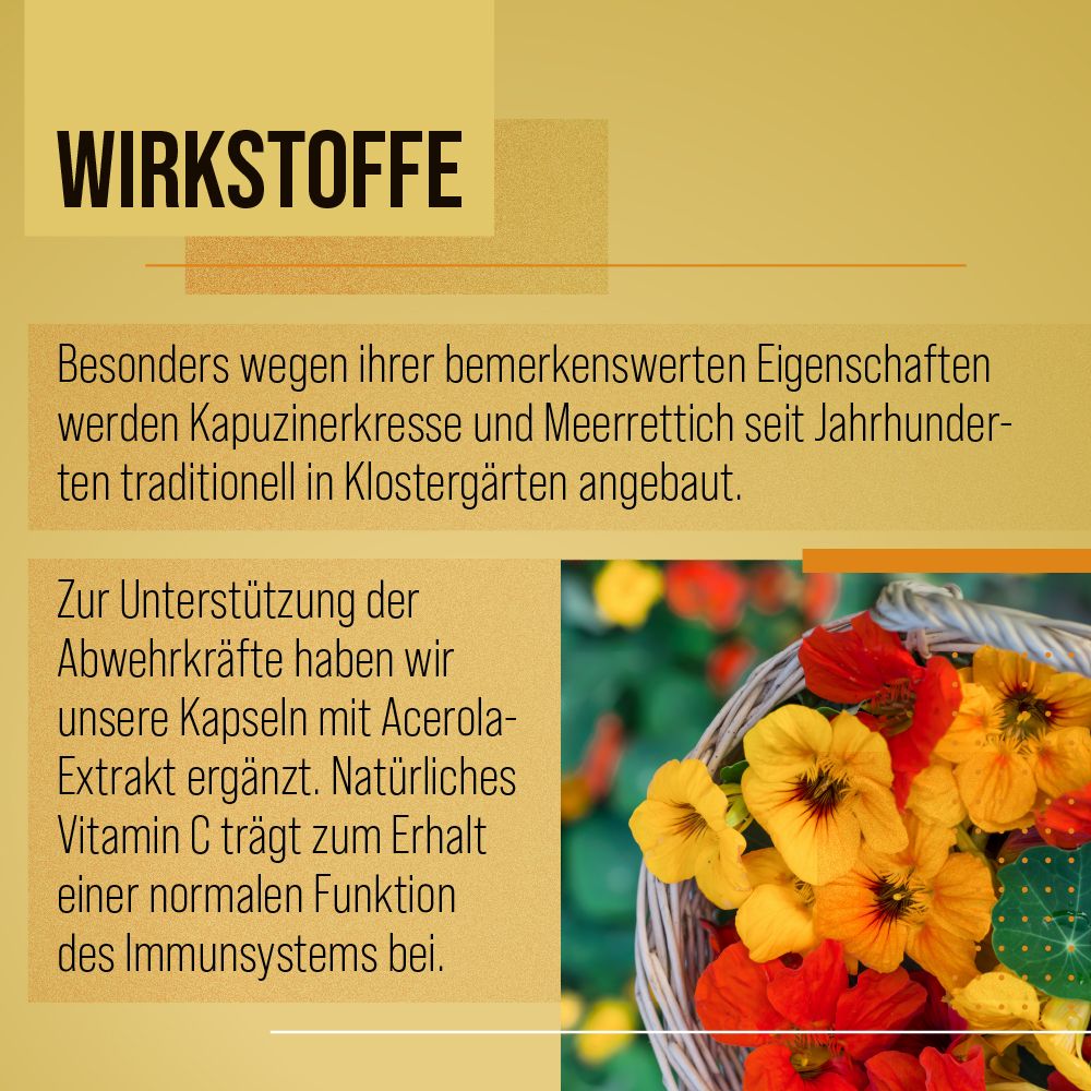Grafik mit Text: Wirkstoffe. Korb mit Kapuzinerkresse-Blüten. Text über die Inhaltsstoffe der Kapseln.