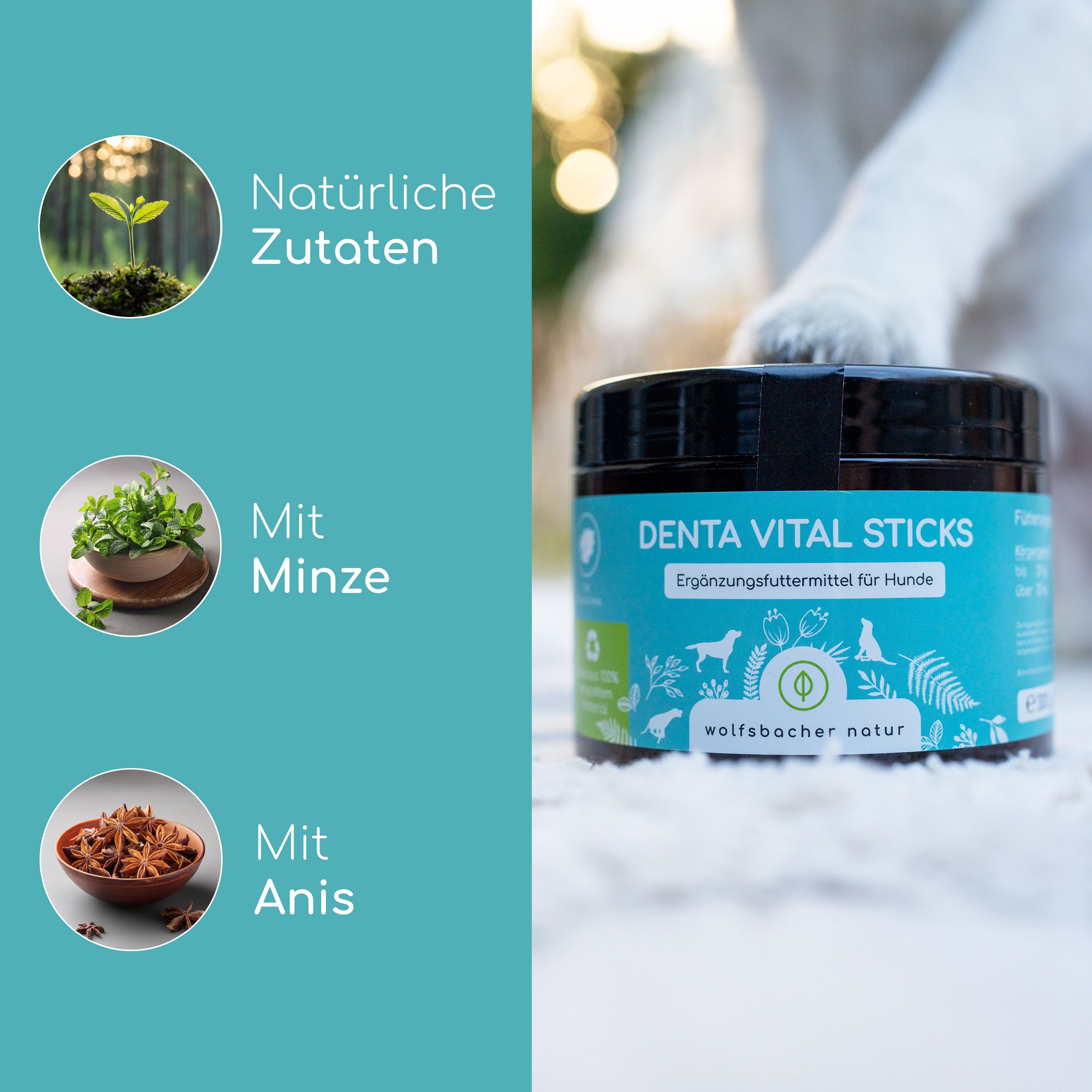 Nahaufnahme einer Dose "Denta Vital Sticks" für Hunde. Text: Natürliche Zutaten, Mit Minze, Mit Anis. Im Hintergrund eine Hundepfote.
