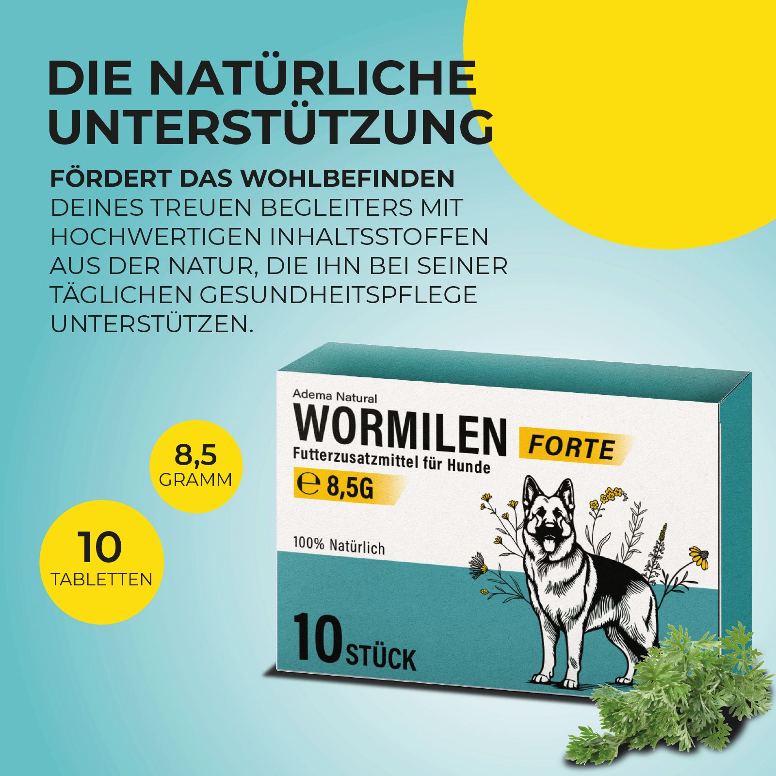 Werbefläche mit "Wormilen Forte"-Verpackung. Text: 10 Tabletten, 8,5g, 100% natürlich. Abbildung eines Hundes.