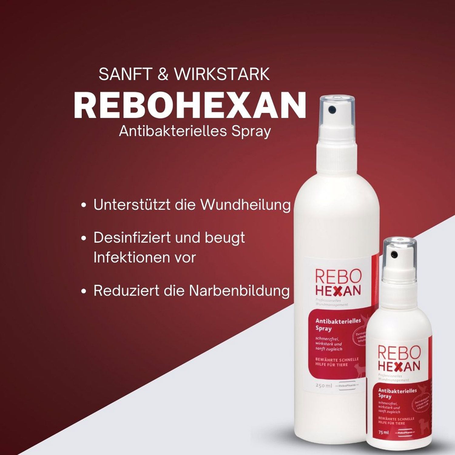 Zwei weiße REBOHEXAN Sprayflaschen, groß und klein, auf rotem Hintergrund.