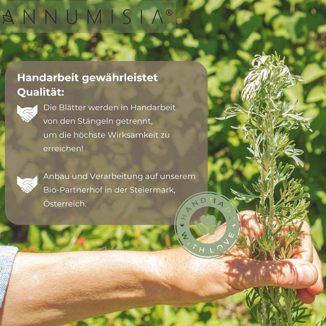 ANNUMISIA® Artemisia Annua Pflanzenauszug mit Glycerin - alkoholfrei