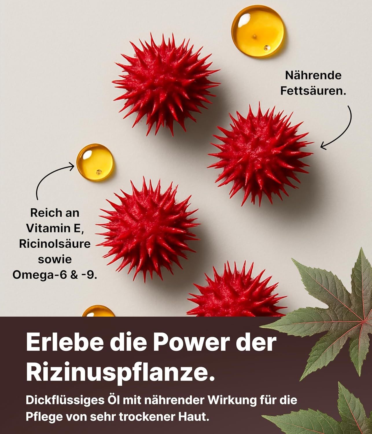 Rote Früchte und gelbe Öltropfen. Text: Reich an Vitamin E, Ricinolsäure sowie Omega-6 & -9. Dickflüssiges Öl für sehr trockene Haut.