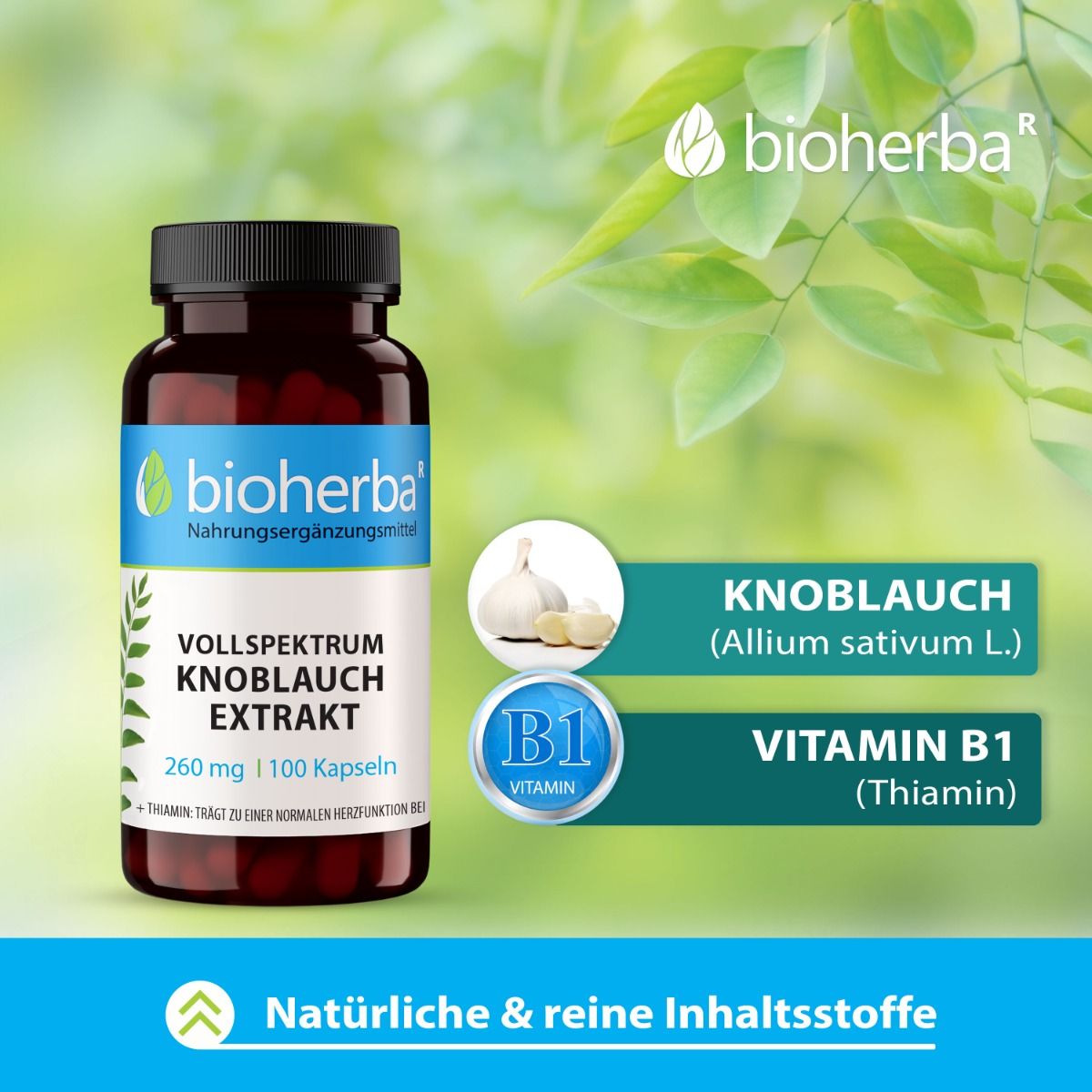 Braune Flasche mit schwarzen Deckel. Vollspektrum Knoblauch Extrakt Kapseln, 260 mg, 100 Kapseln. Knoblauch und Vitamin B1.
