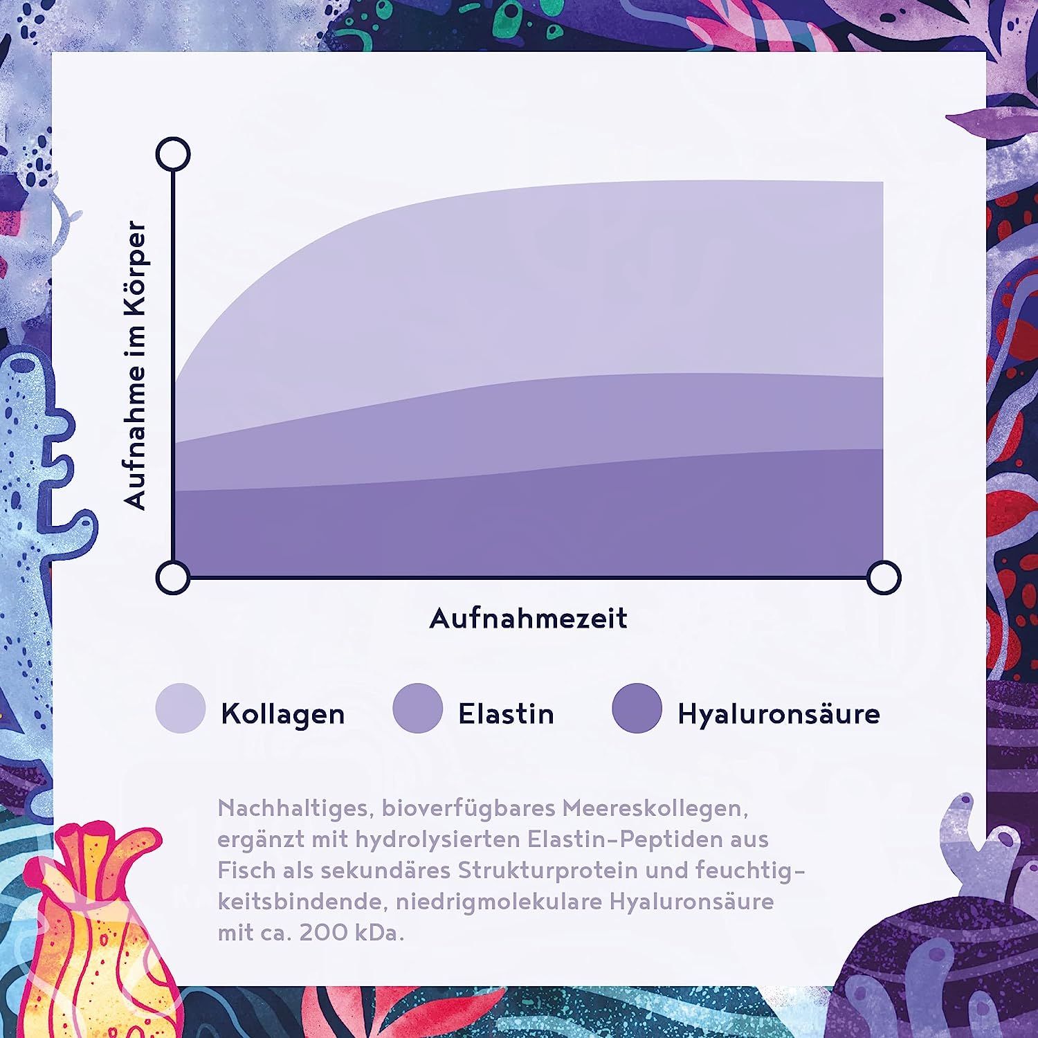 Marine Collagen mit Hyaluronsäure Kapseln - Meeres Kollagen Hydrolysat & Marines Elastin