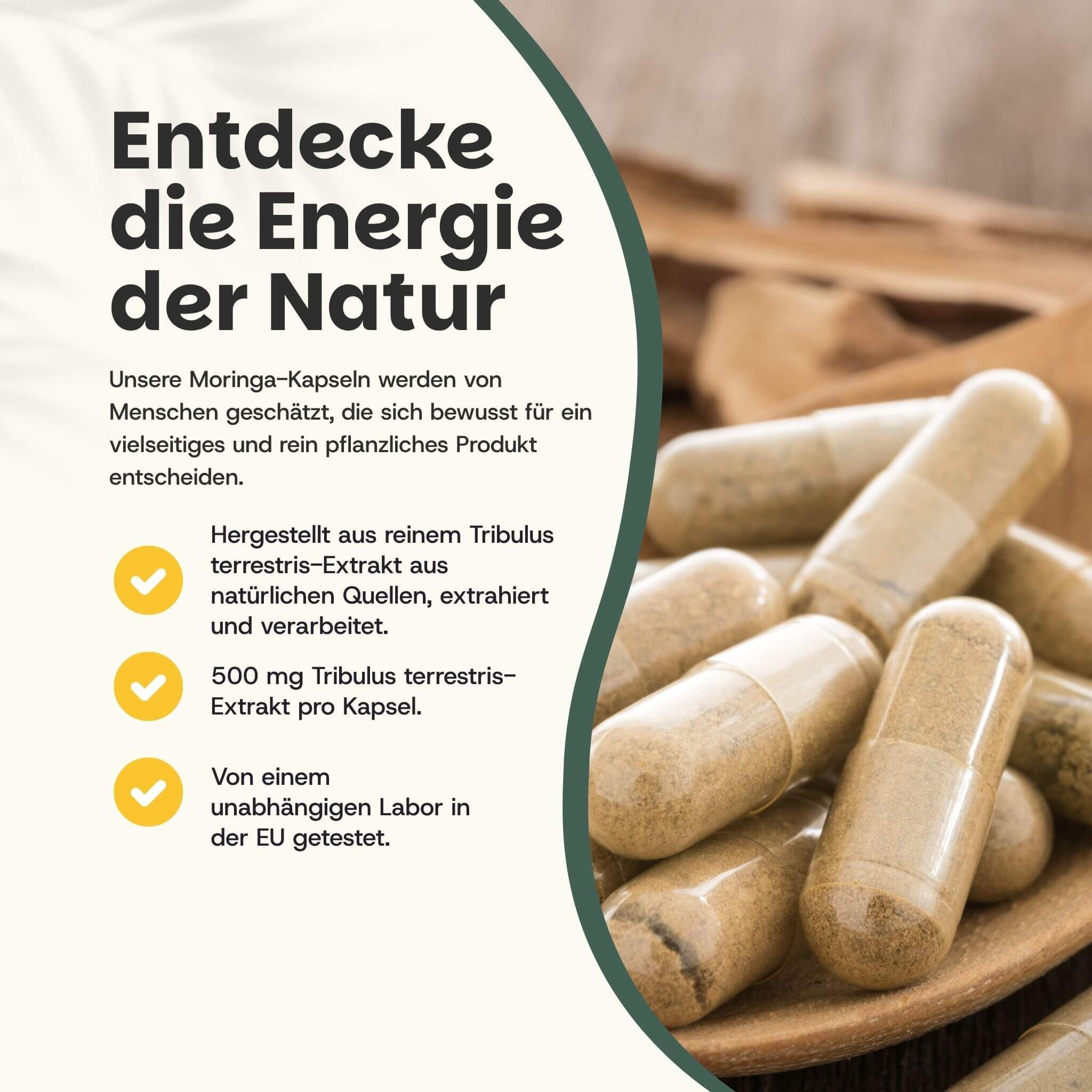 Kapseln auf einem Löffel. Aufschrift: 500 mg Tribulus Terrestris-Extrakt pro Kapsel. Laborgeprüft.