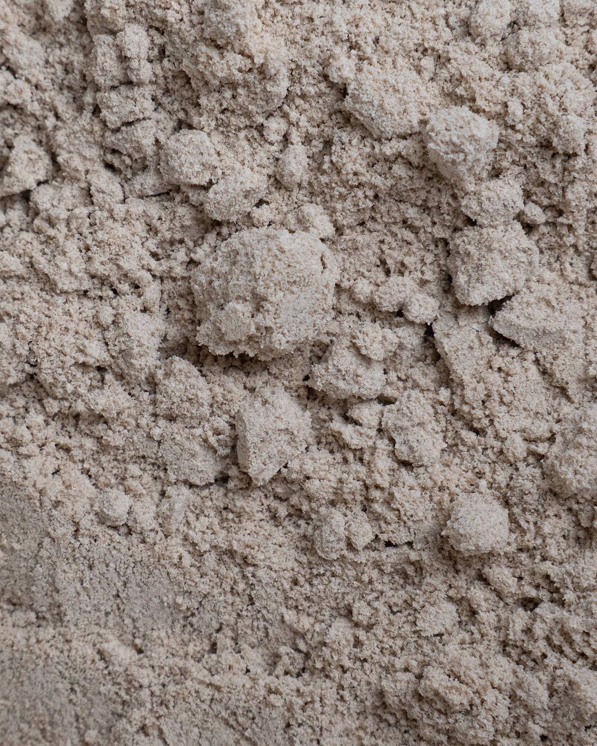 Nahaufnahme der Textur von buXtrade Bio Sonnenblumenprotein Pulver mit Klumpen.