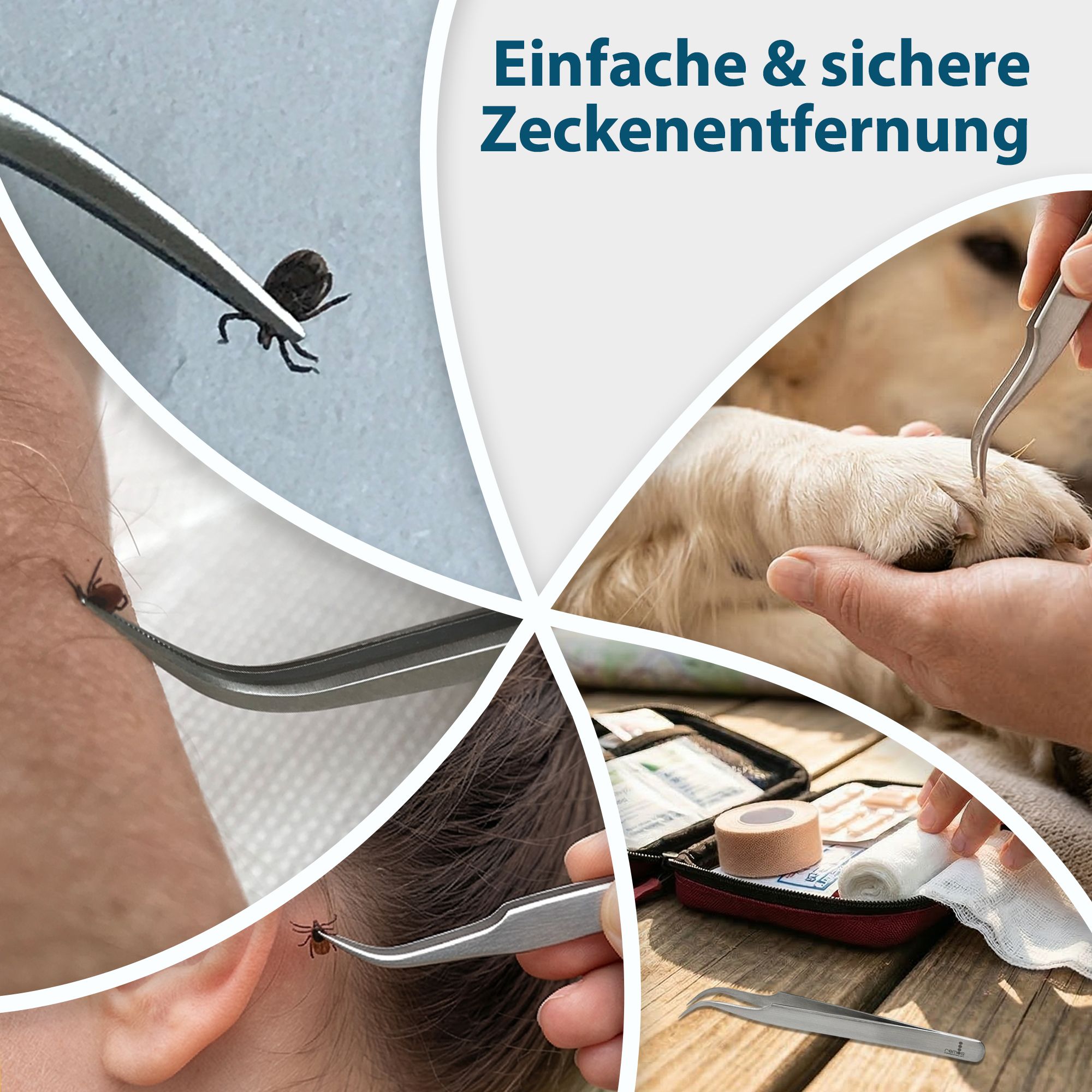 Kompakte Aufbewahrung von Zeckenzangen in durchsichtigen Schutzhüllen.