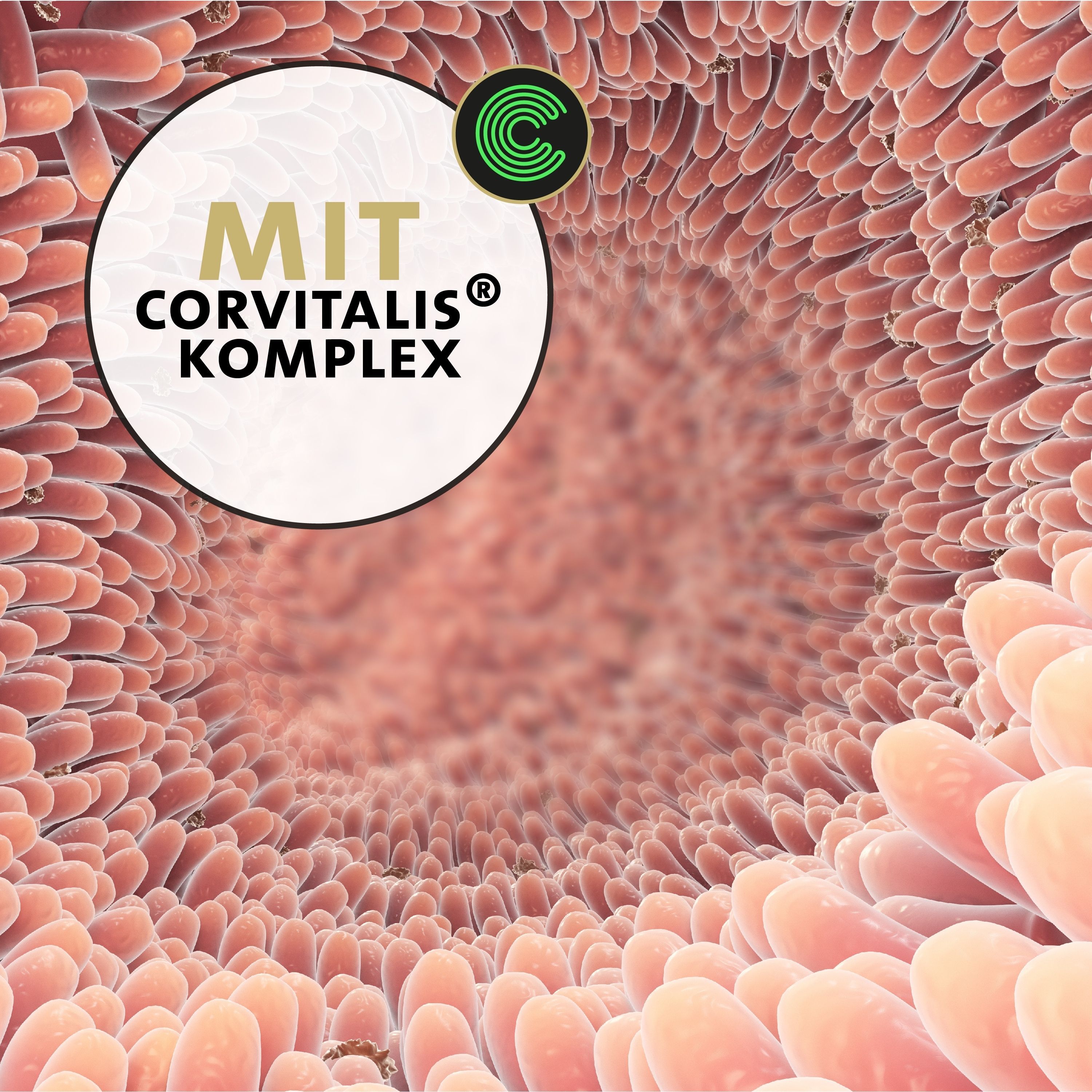 Mikroskopische Darstellung. Text: Mit Corvitalis Komplex. Logo.