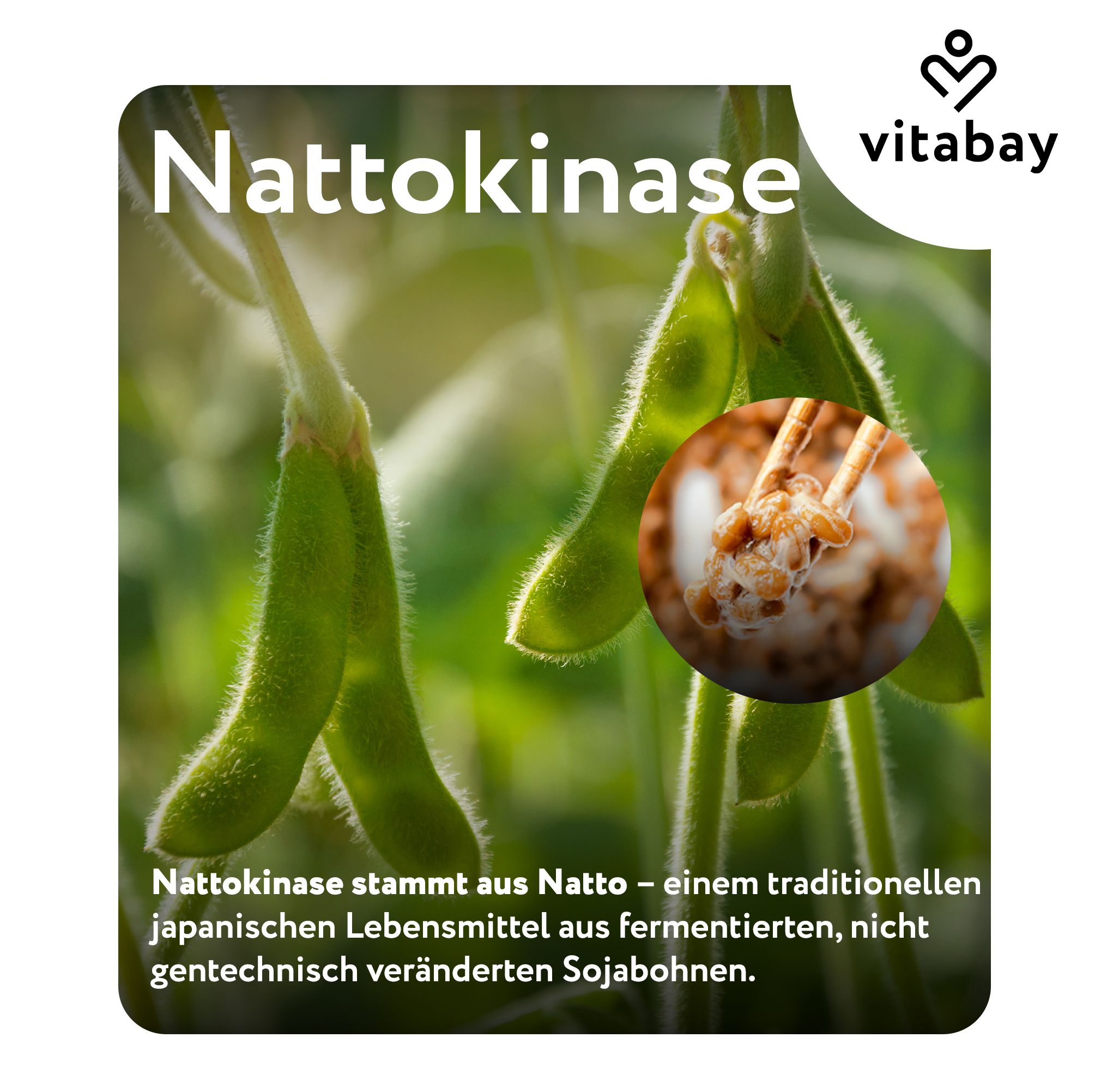 Vitabay Nattokinase: Sojabohnenpflanze und Natto im Detail.