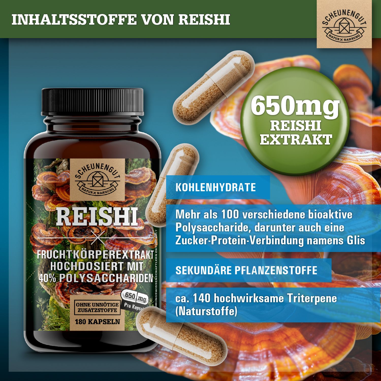 Braune Flasche Scheunengut® Reishi Extrakt Kapseln. 3 Kapseln daneben. Aufschrift: Reishi, Fruchtkörperextrakt, 40% Polysaccharide, 180 Kapseln, 650mg.