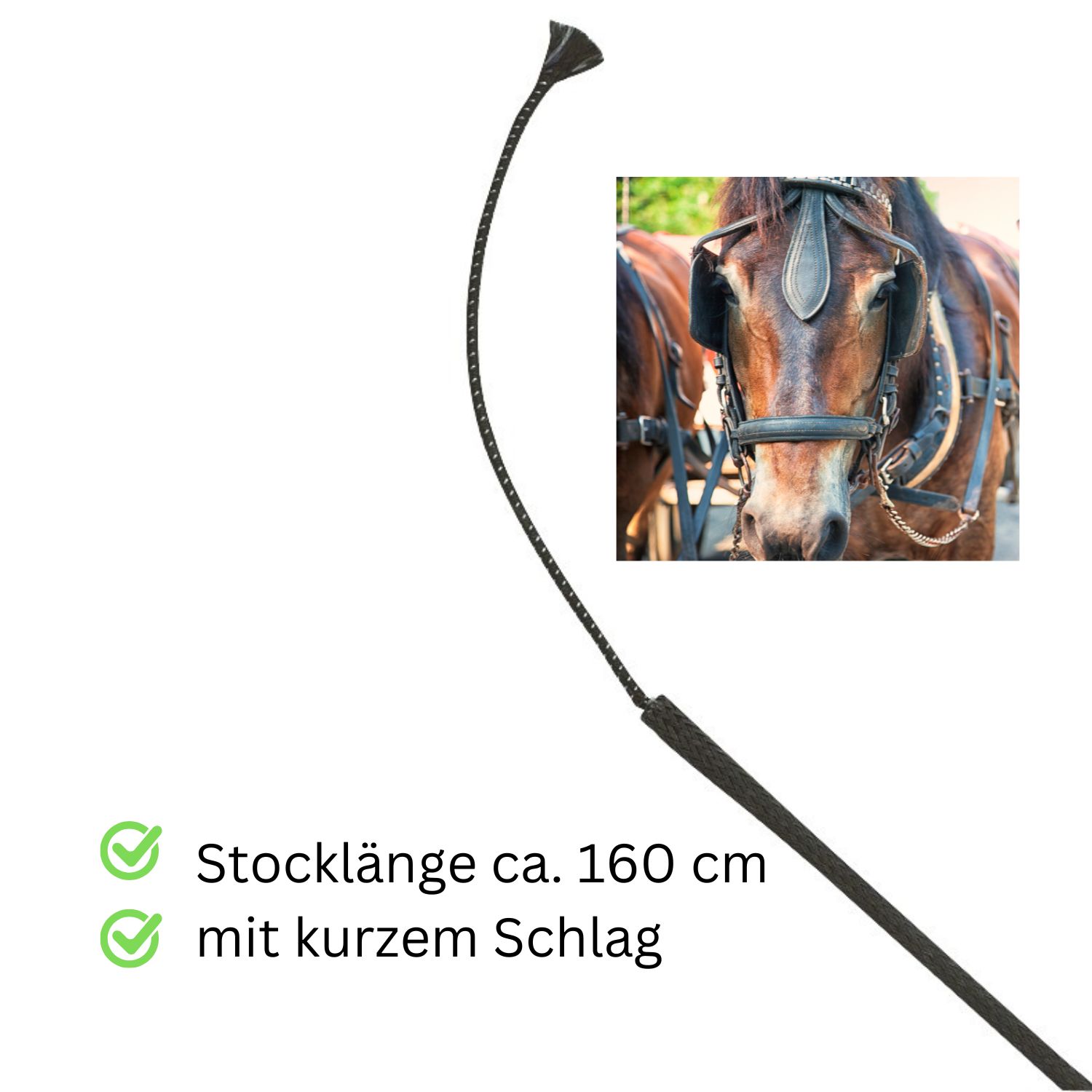 Schwarze Fahrpeitsche mit kurzem Schlag. Text: Stocklänge ca. 160 cm.
