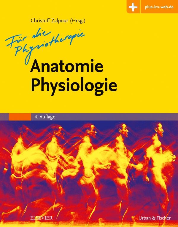 Anatomie Physiologie für die Physio