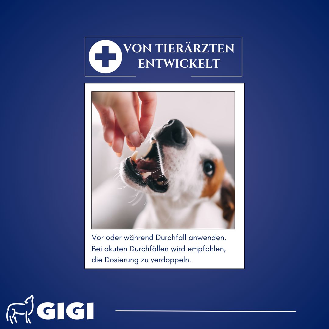 Hund bekommt Tablette. Text: Von Tierärzten entwickelt. Anwendung bei Durchfall. Logo GIGI.