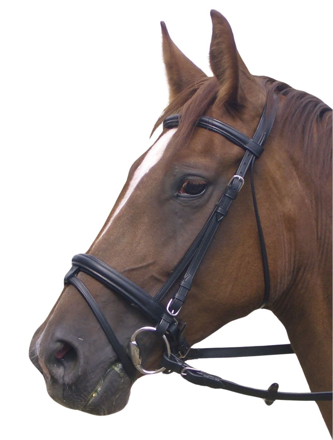 Schwarzer Trensenzaum am Kopf eines braunen Pferdes. Lederriemen, Metallbeschläge. Detailaufnahme, seitliche Ansicht.