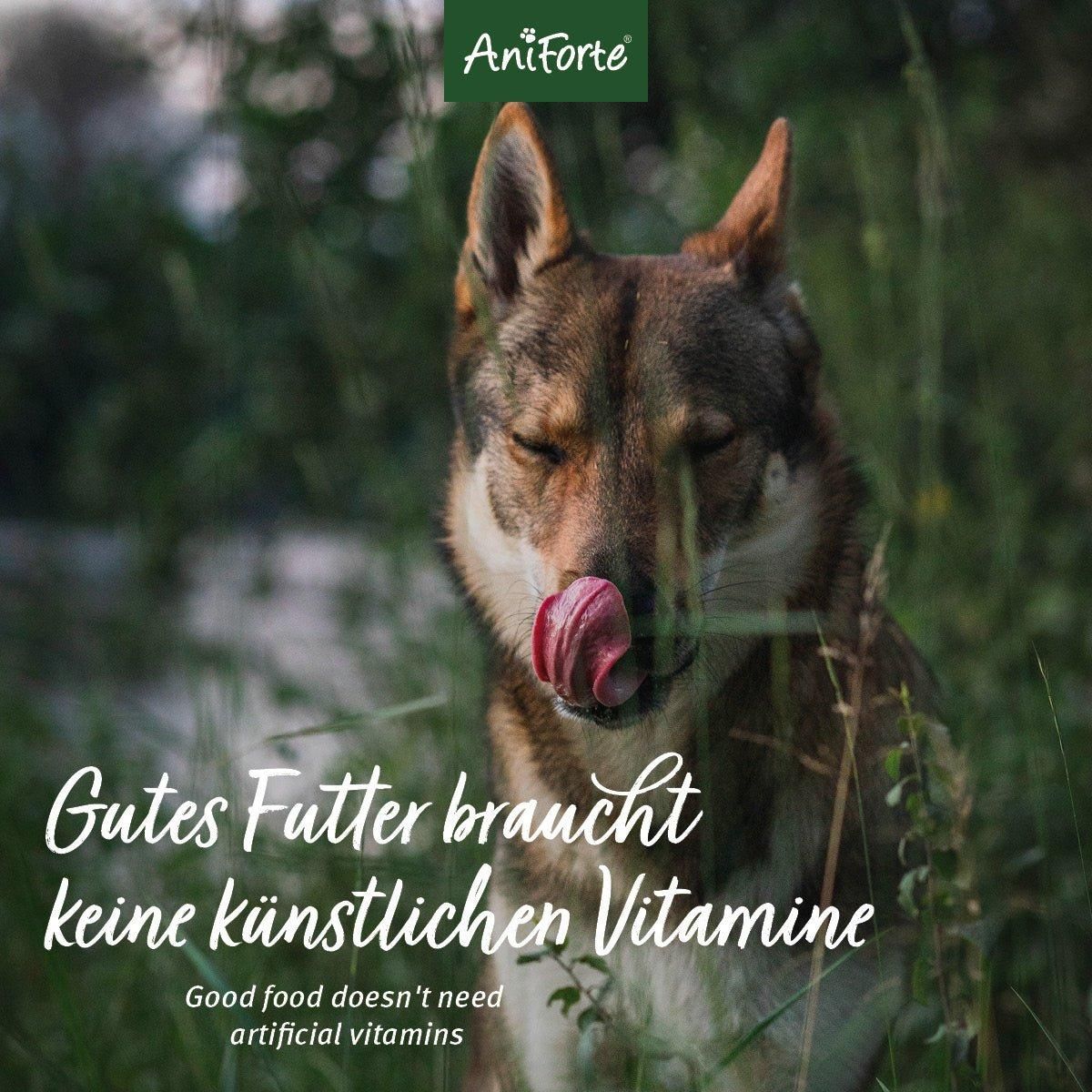 Hund leckt sich die Schnauze. Text: Gutes Futter braucht keine künstlichen Vitamine.