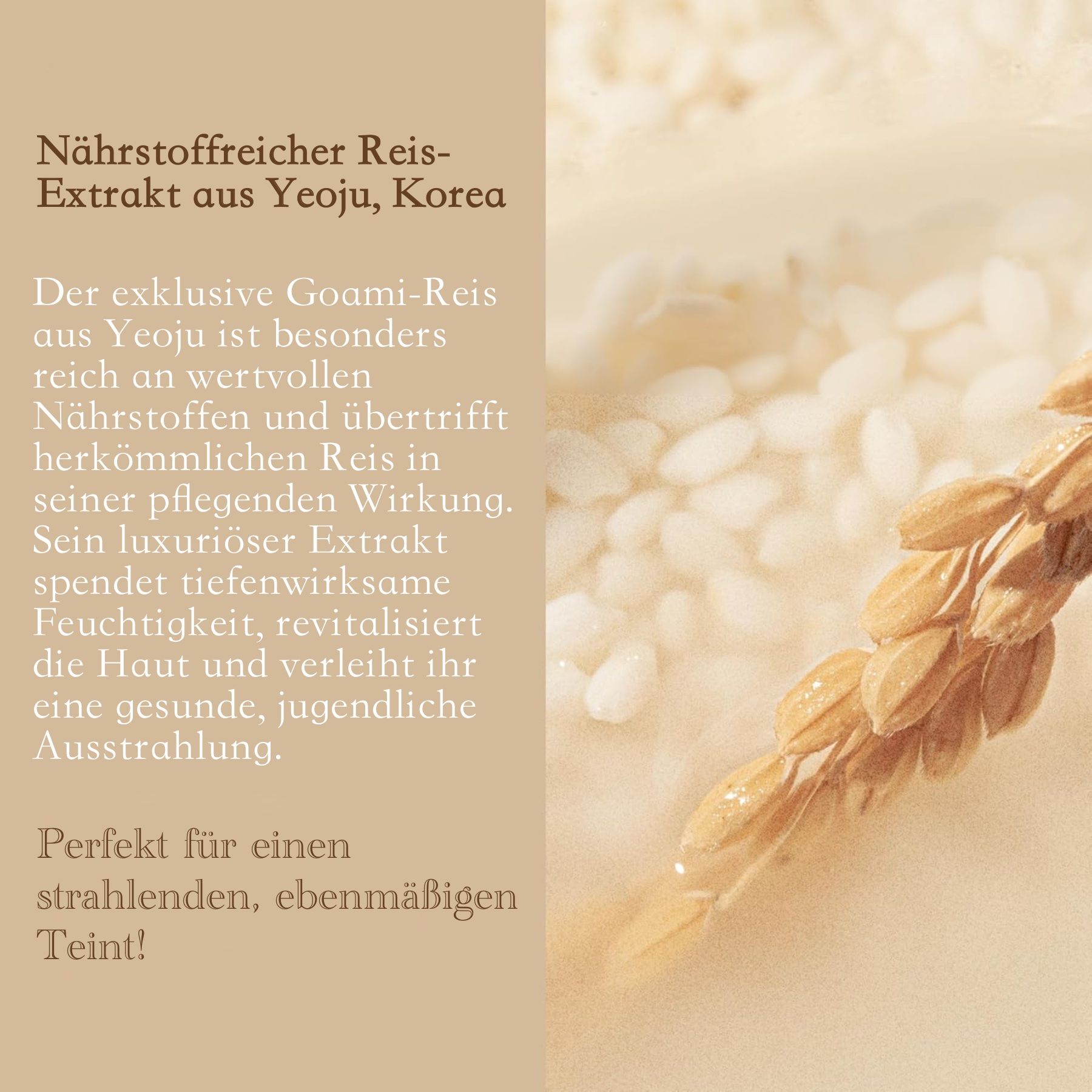 I'm from Rice Toner Gesichtswasser für Anti-Aging
