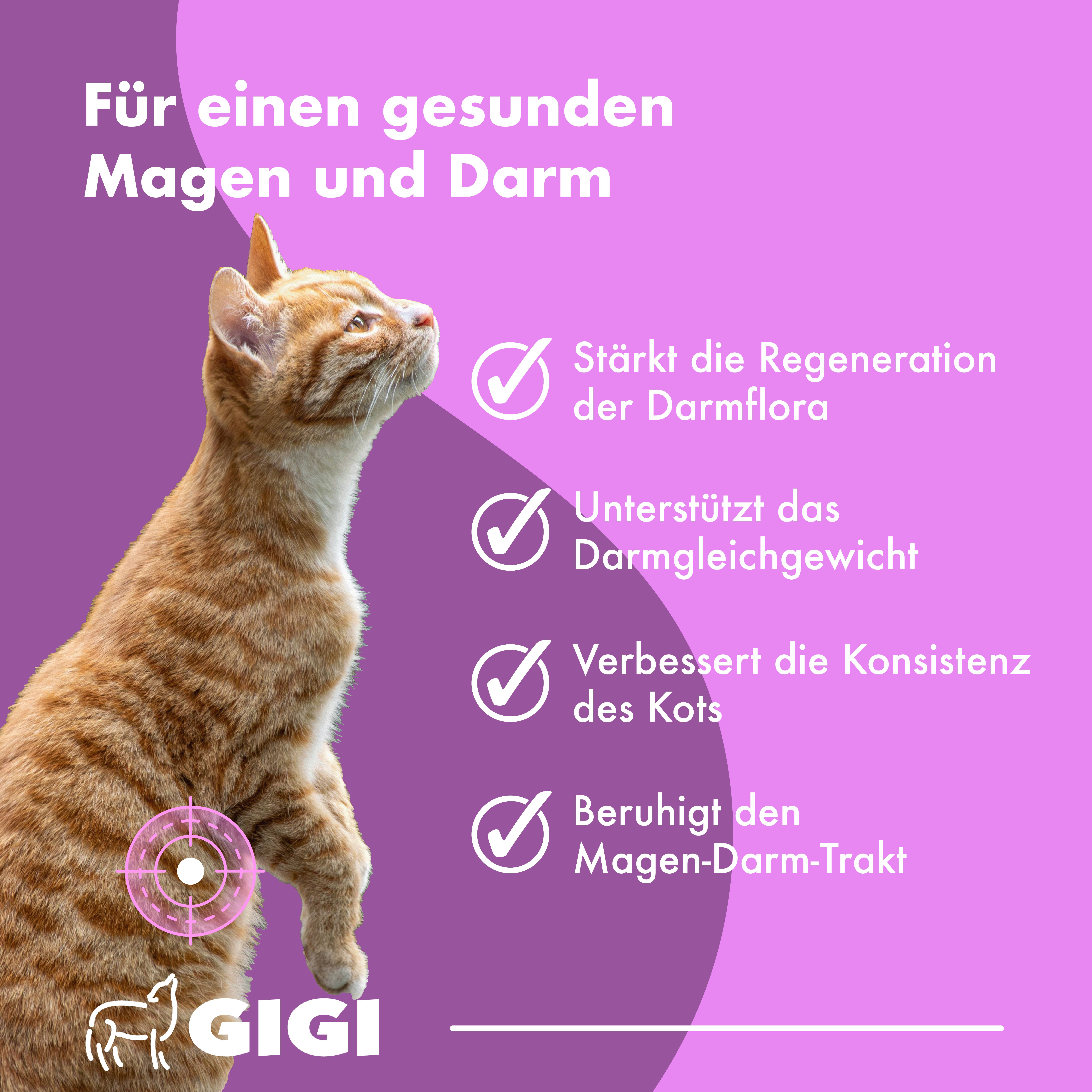 Katze. Text: Stärkt die Regeneration, Unterstützt das Darmgleichgewicht, Verbessert die Konsistenz, Beruhigt den Magen-Darm-Trakt. Logo: GIGI.