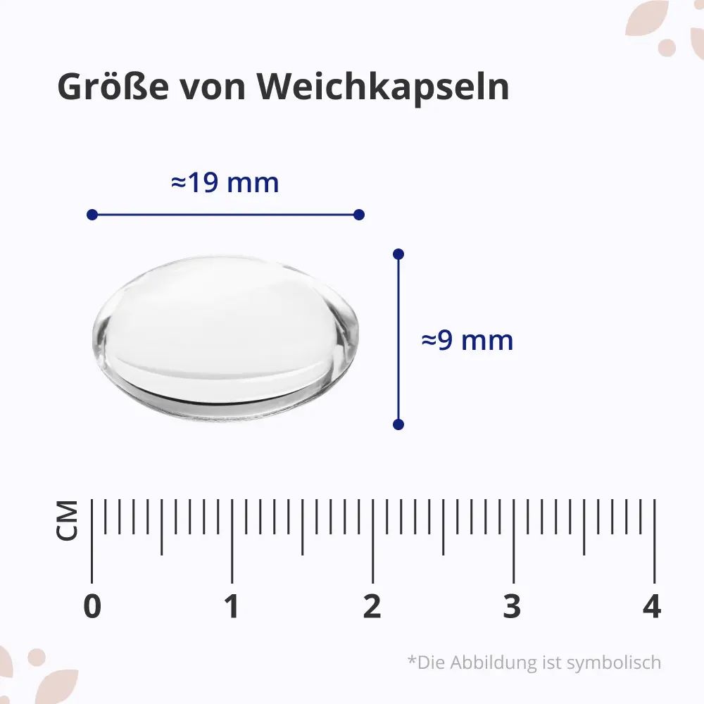 Größe einer Weichkapsel: ca. 19 mm Länge, ca. 9 mm Höhe.