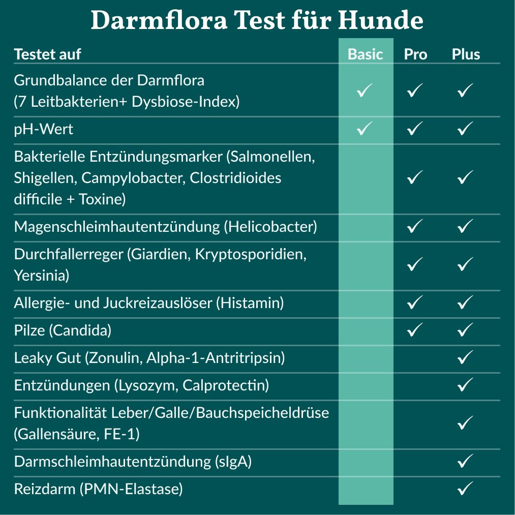 Vergleichstabelle der Darmflora Tests Basic, Pro und Plus für Hunde.