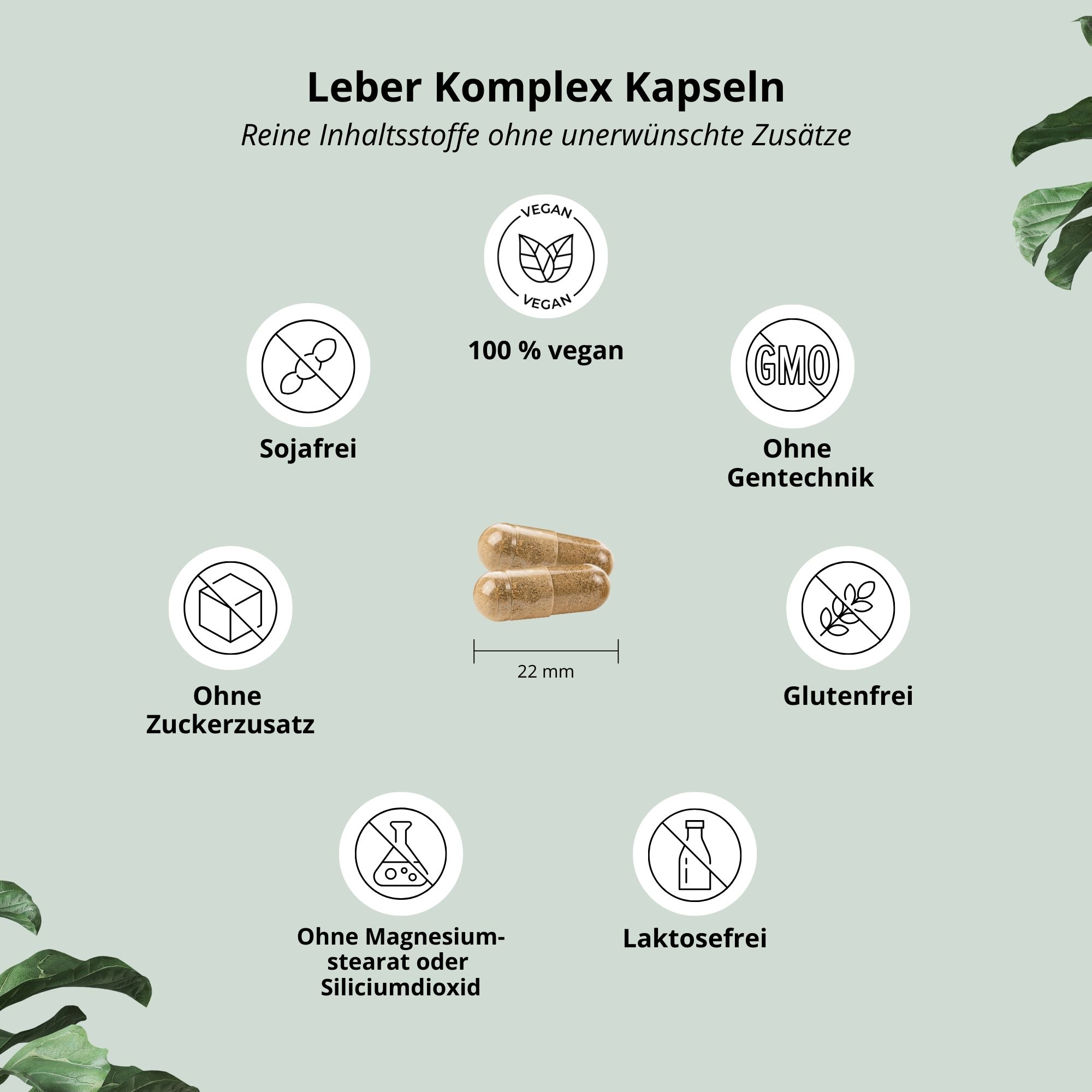 Zwei Kapseln, 22 mm lang, umgeben von Icons: vegan, sojafrei, zuckerfrei, ohne Gentechnik, glutenfrei, laktosefrei.