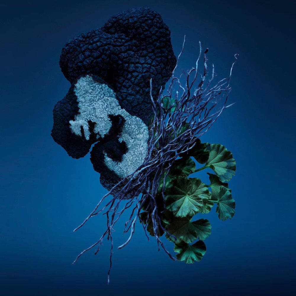 Abstrakte Komposition mit blauem und grünem Pflanzenmaterial. Dunkelblauer Hintergrund.