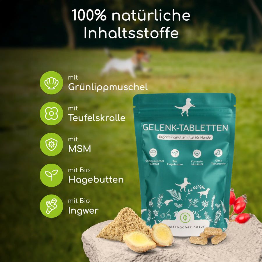 Wolfsbacher Natur Gelenktabletten