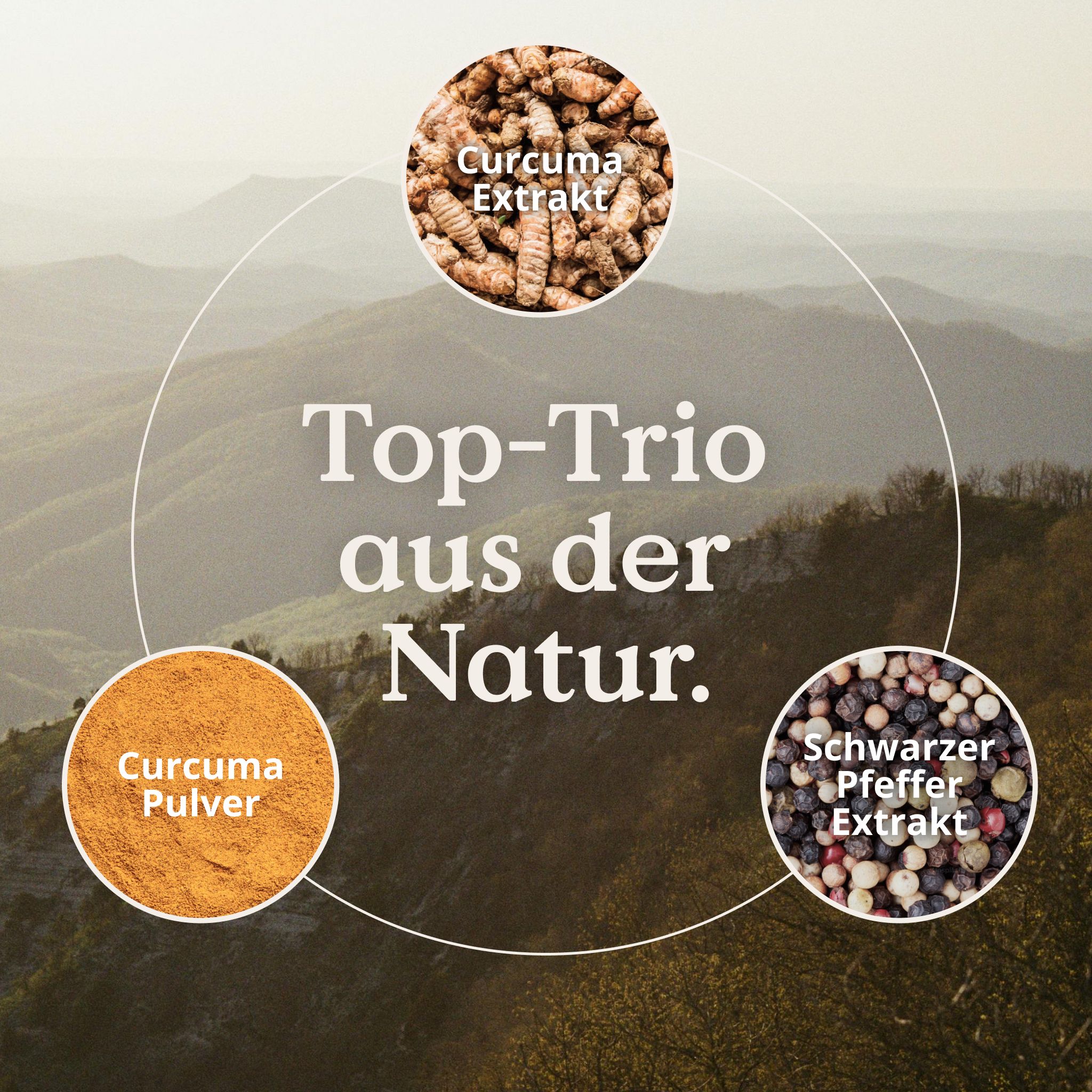 Kreisförmige Anordnung von Curcuma Extrakt, Curcuma Pulver und Schwarzer Pfeffer Extrakt. Text: "Top-Trio aus der Natur".