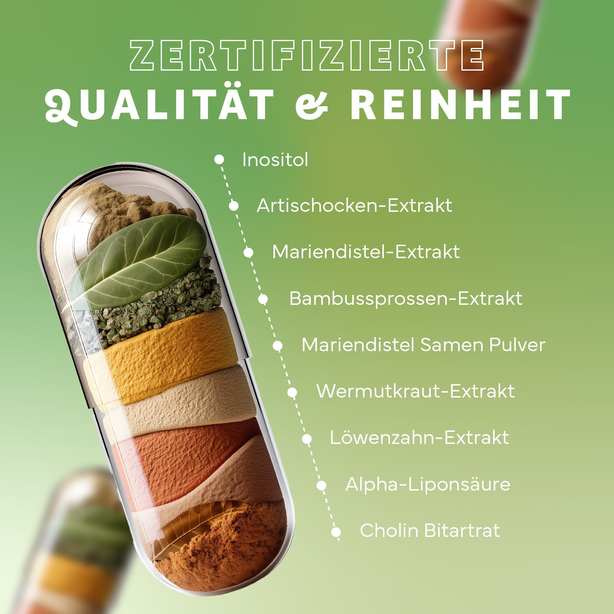 Kapsel mit Inhaltsstoffen: Artischocken-Extrakt, Mariendistel-Extrakt, Bambussprossen-Extrakt, Wermutkraut-Extrakt, Löwenzahn-Extrakt, u.a. Zertifizierte Qualität.