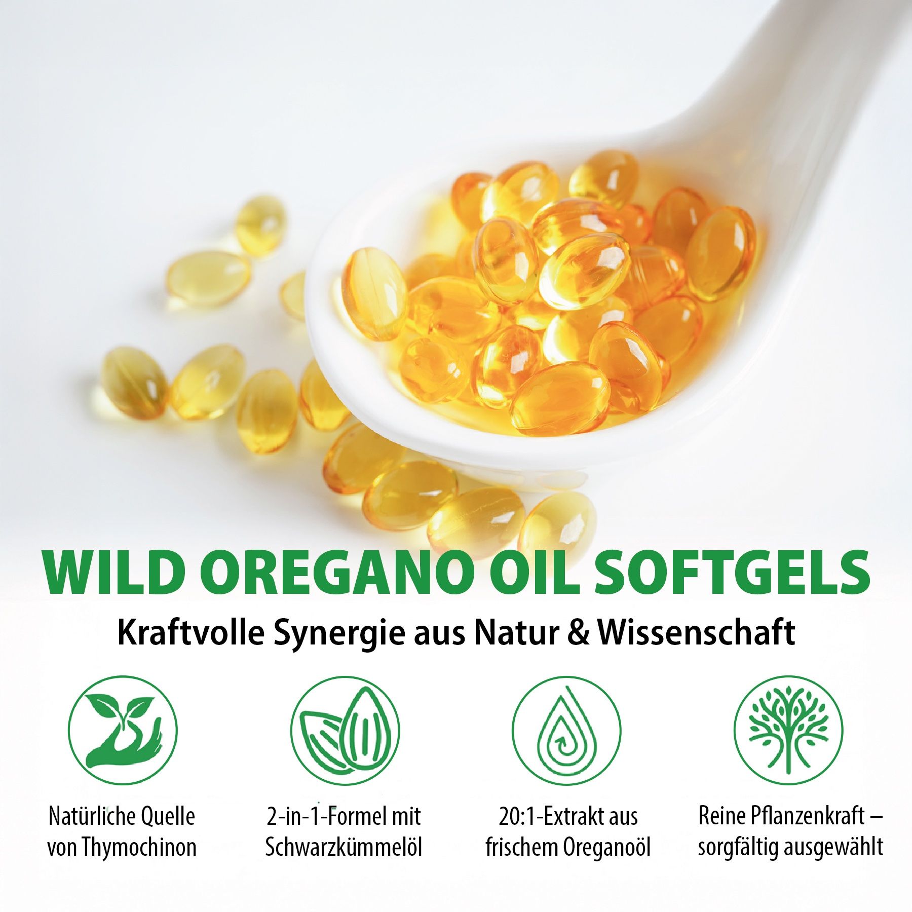 Löffel mit Softgels. Text: Wild Oregano Oil Softgels. Gelbe Kapseln. Symbole: Thymochinon, Schwarzkümmelöl.