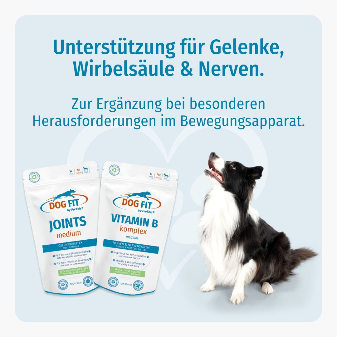 DOG FIT by PreThis® JOINTS & VITAMIN B Kombiset (medium)