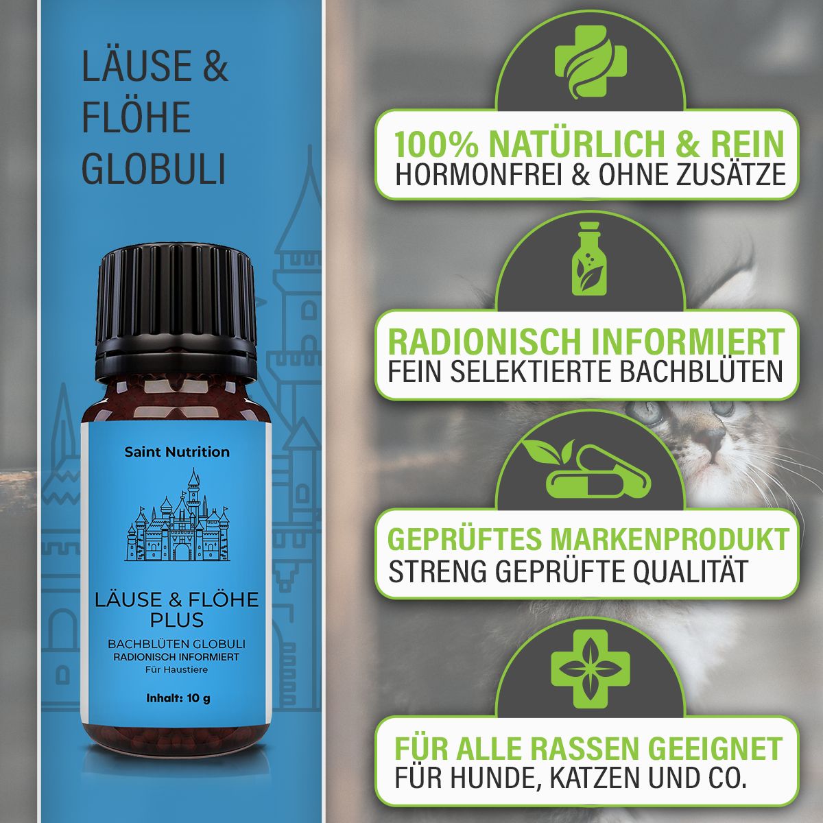 Produktflasche mit blauem Etikett und Text: Läuse & Flöhe Plus, Bachblüten Globuli. Zusätzliche Informationen und Icons auf der rechten Seite.