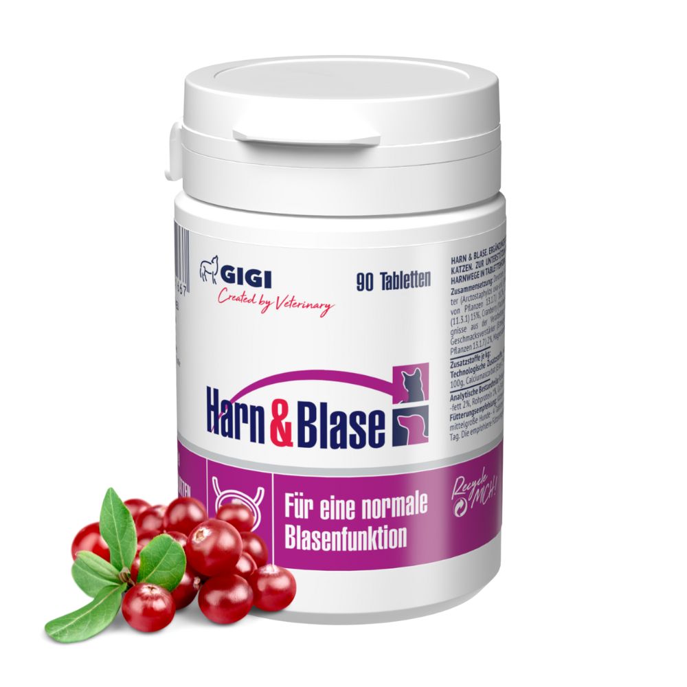 Weiße Tablettenflasche mit Aufschrift "Harn & Blase". 90 Tabletten. Cranberry-Früchte daneben.