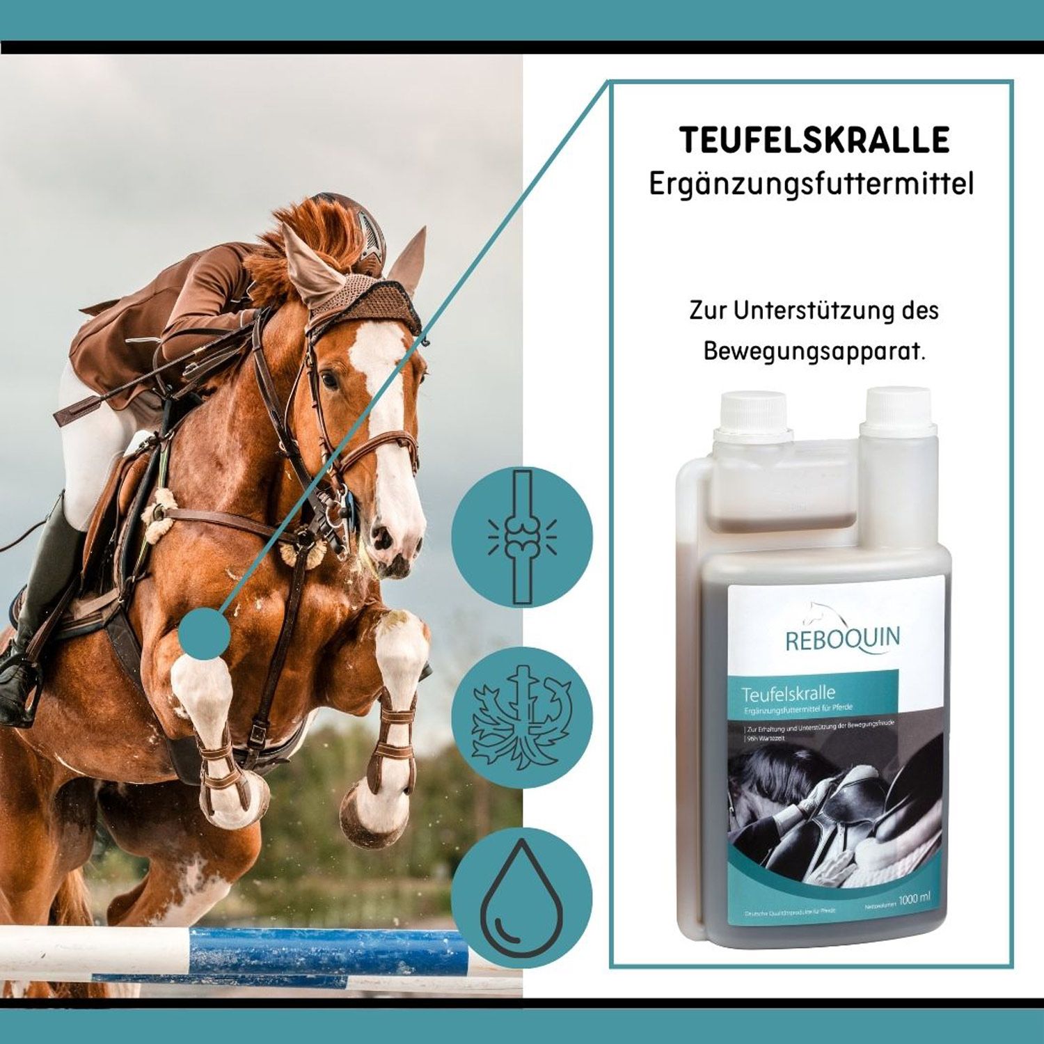 Springreiter mit Pferd, daneben Flasche Teufelskralle Ergänzungsfuttermittel.