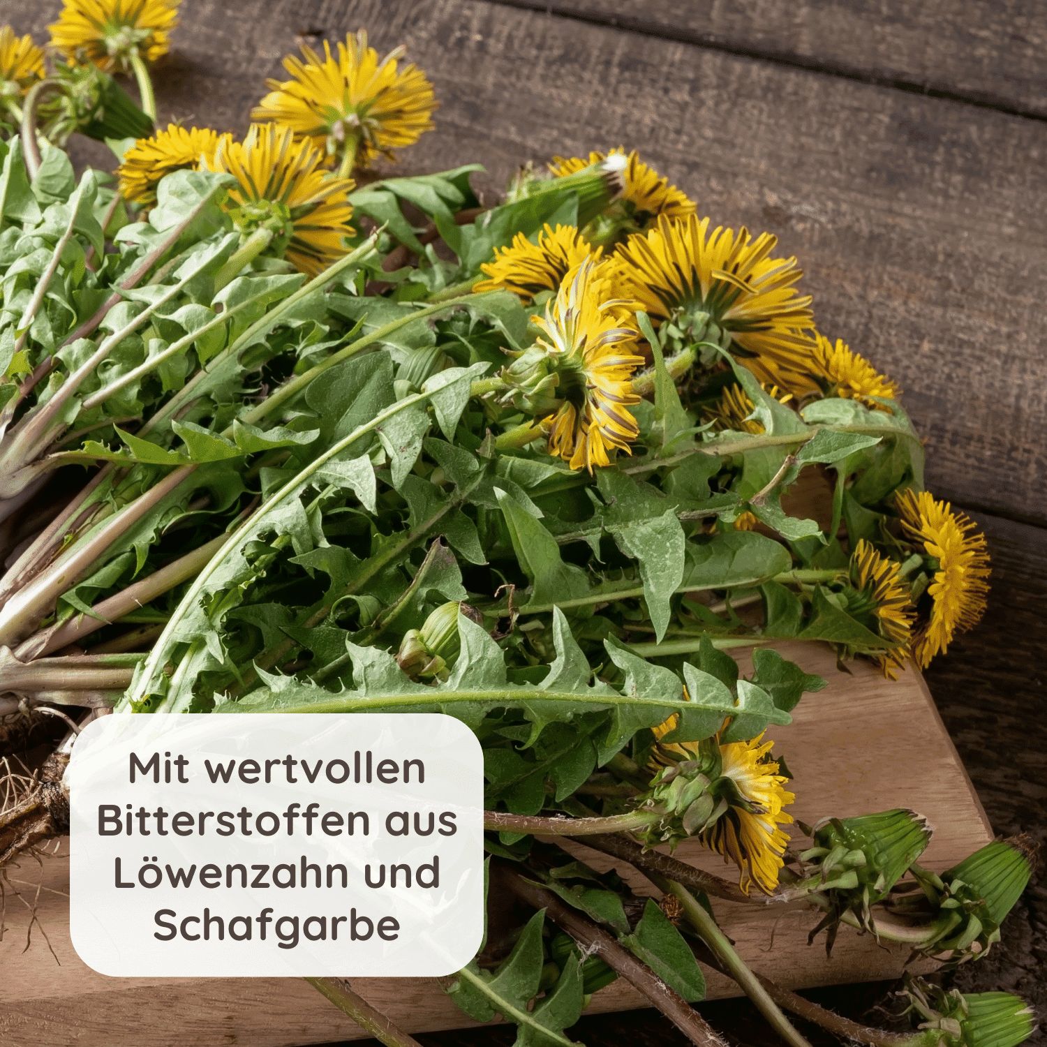 Schlosskräuter Lebertee