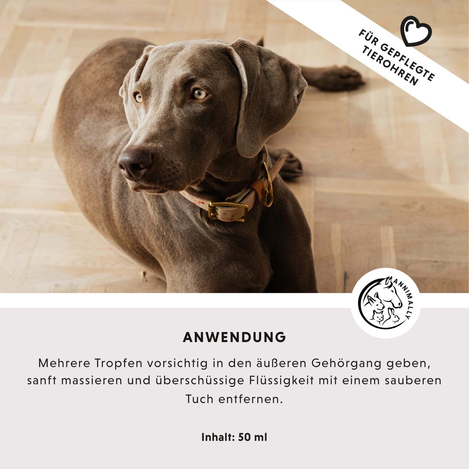 Text mit Anwendungshinweisen zur Ohrenpflege. Logo mit Tierabbildungen. Inhalt: 50 ml. Foto eines Hundes.